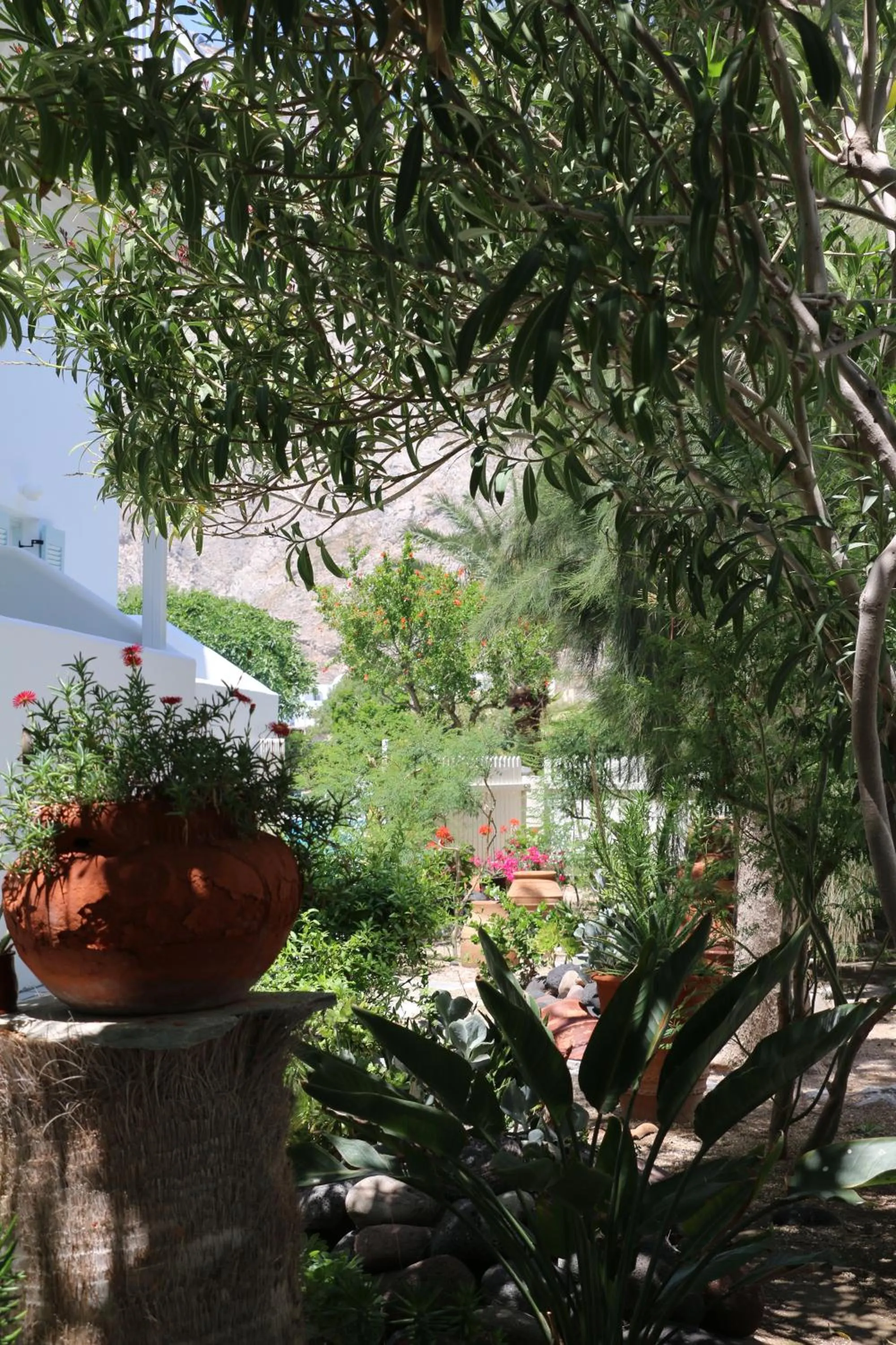 SPIROS & HIROKO Hotel - ADULTS ONLY