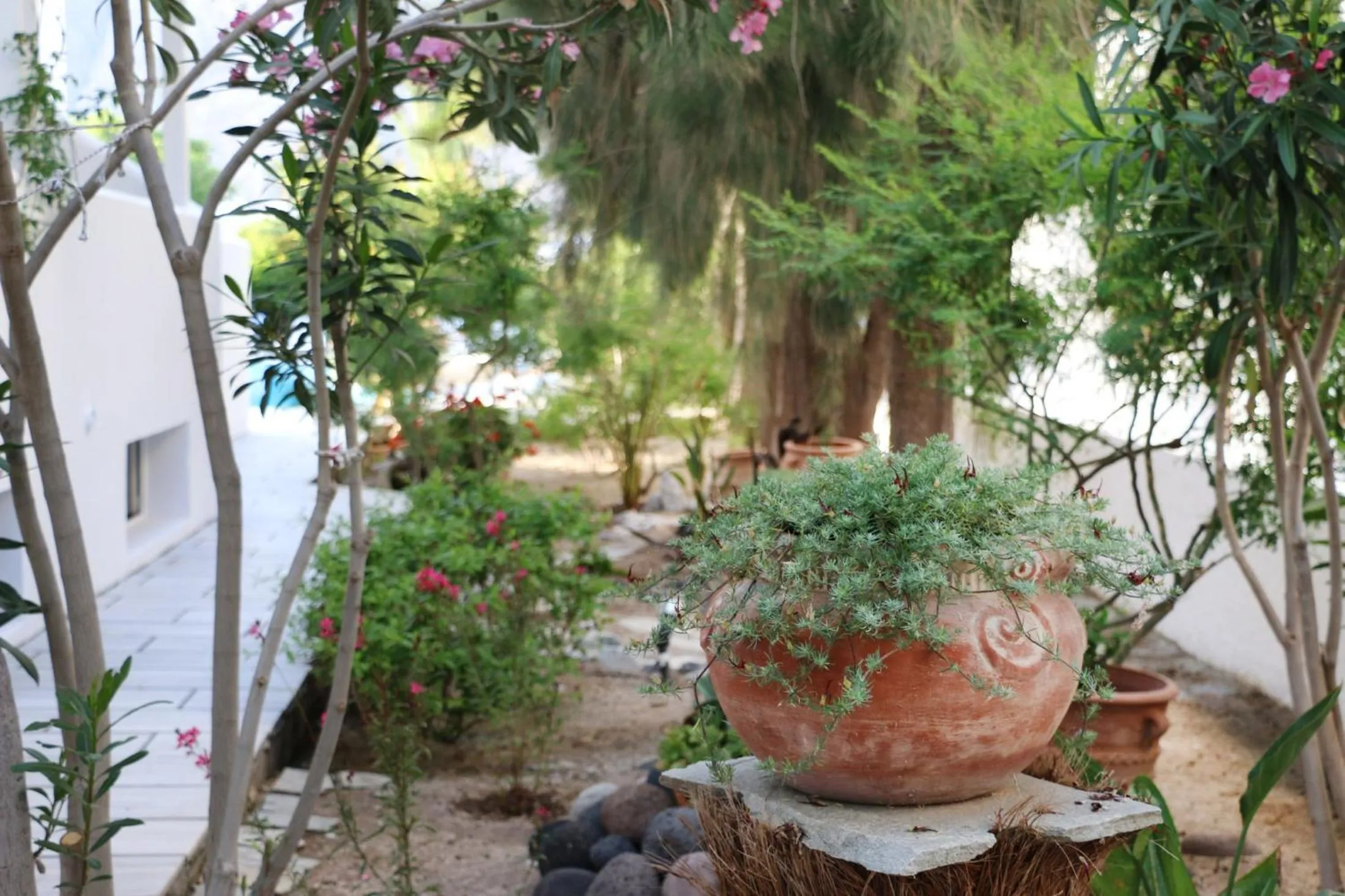 SPIROS & HIROKO Hotel - ADULTS ONLY