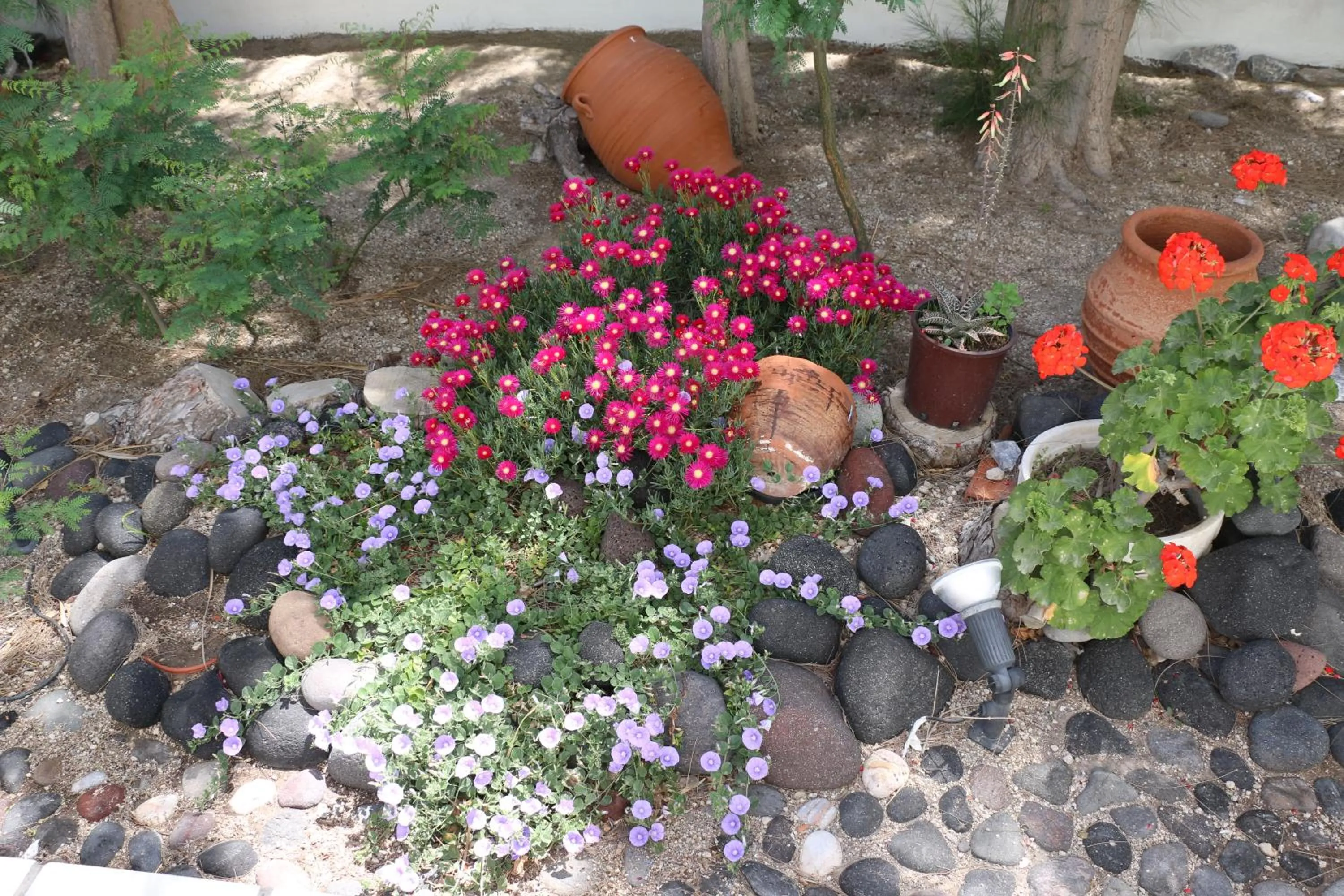 SPIROS & HIROKO Hotel - ADULTS ONLY