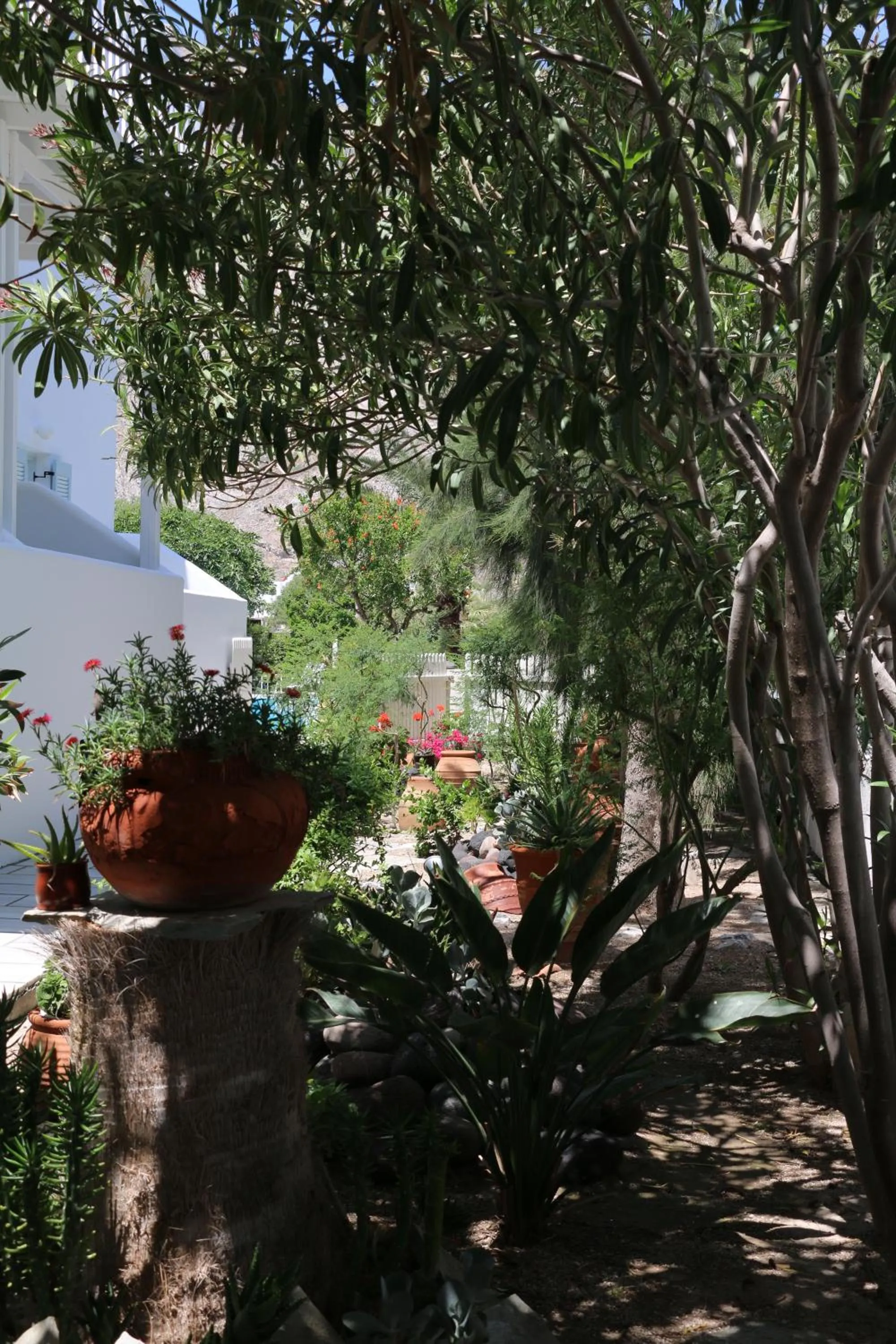 SPIROS & HIROKO Hotel - ADULTS ONLY