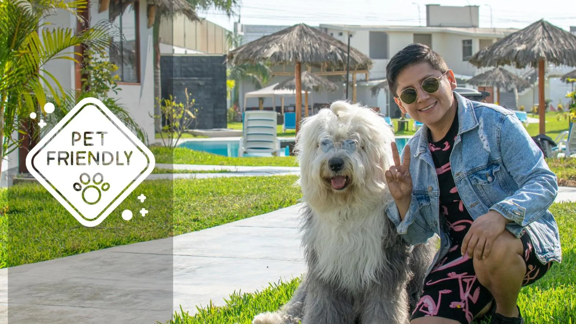Pets in Qala Hotels & Resorts