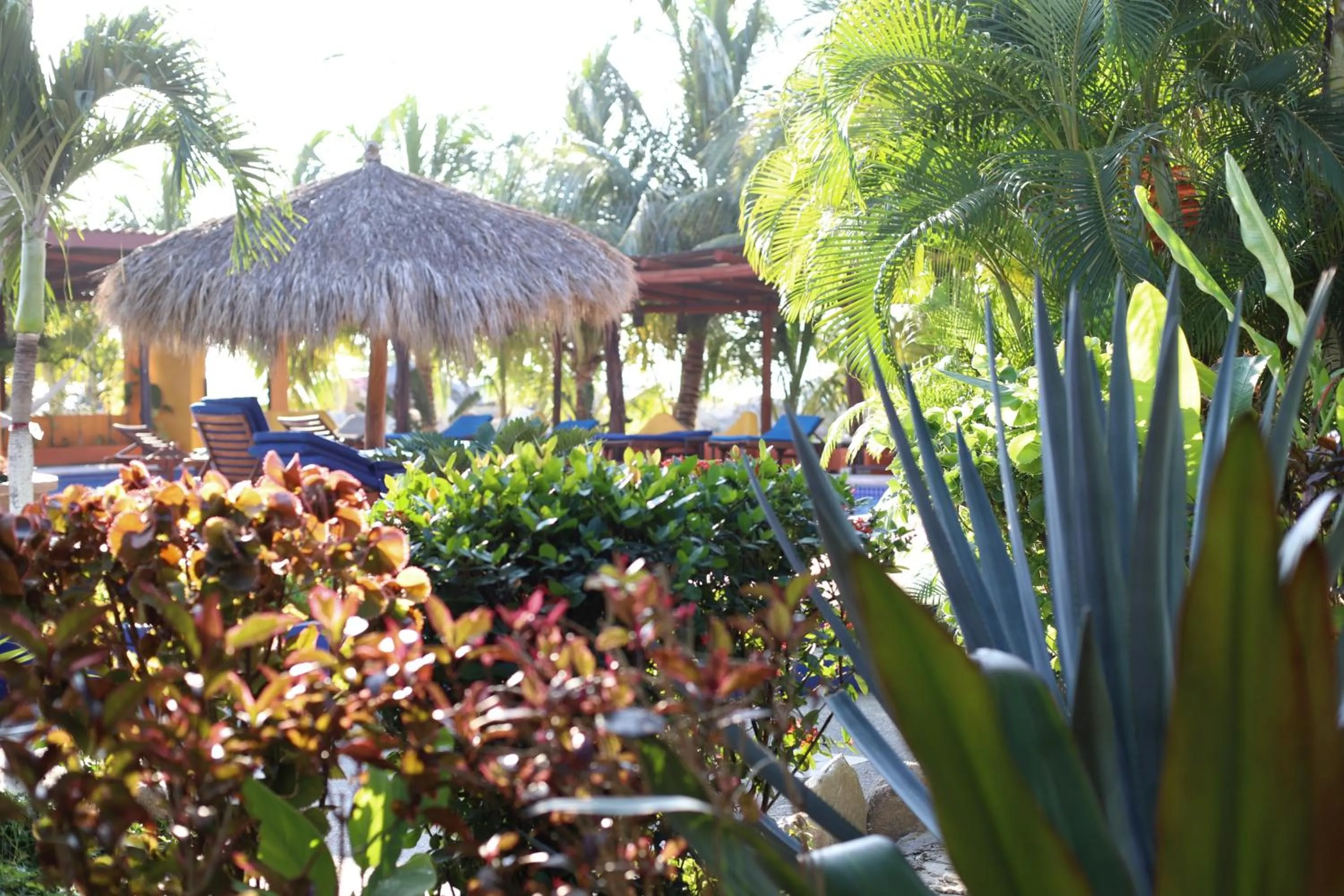 Garden in Hotel Meson de Mita