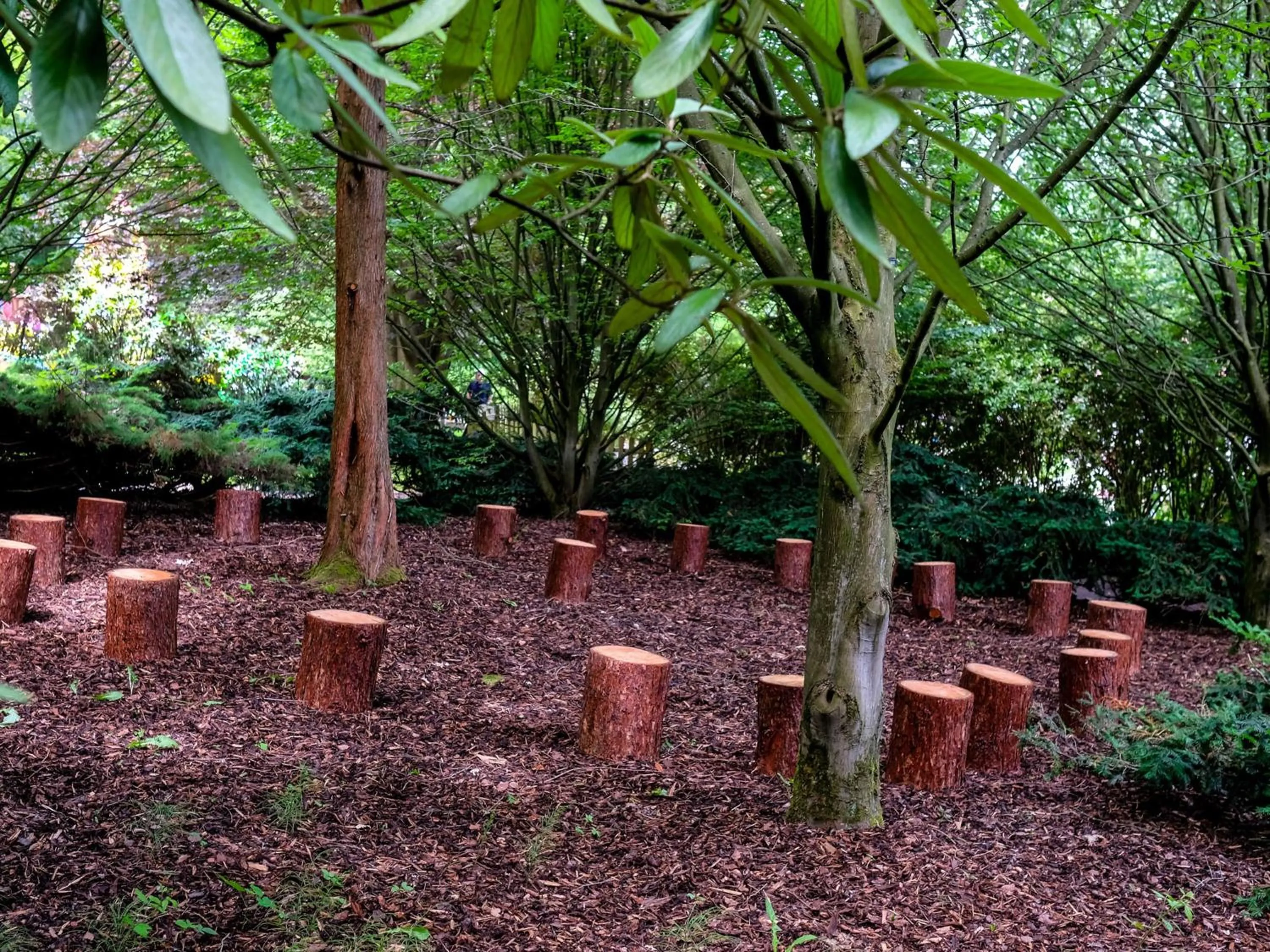 Natural landscape in FREIgeist Northeim