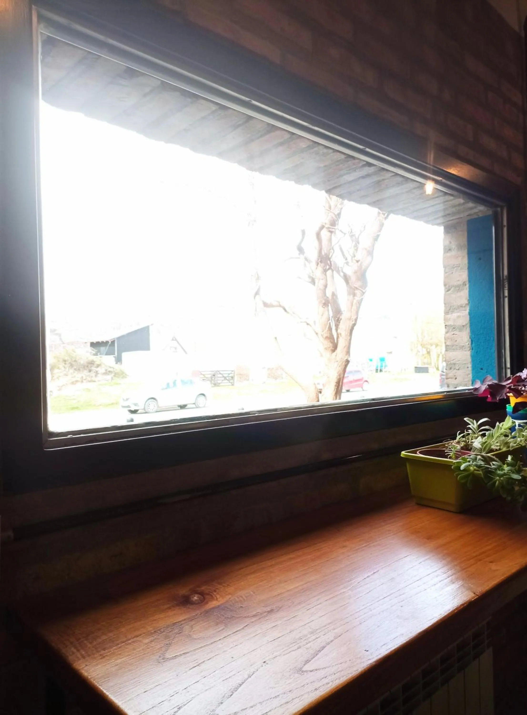 Area and facilities in Posada San Antonio