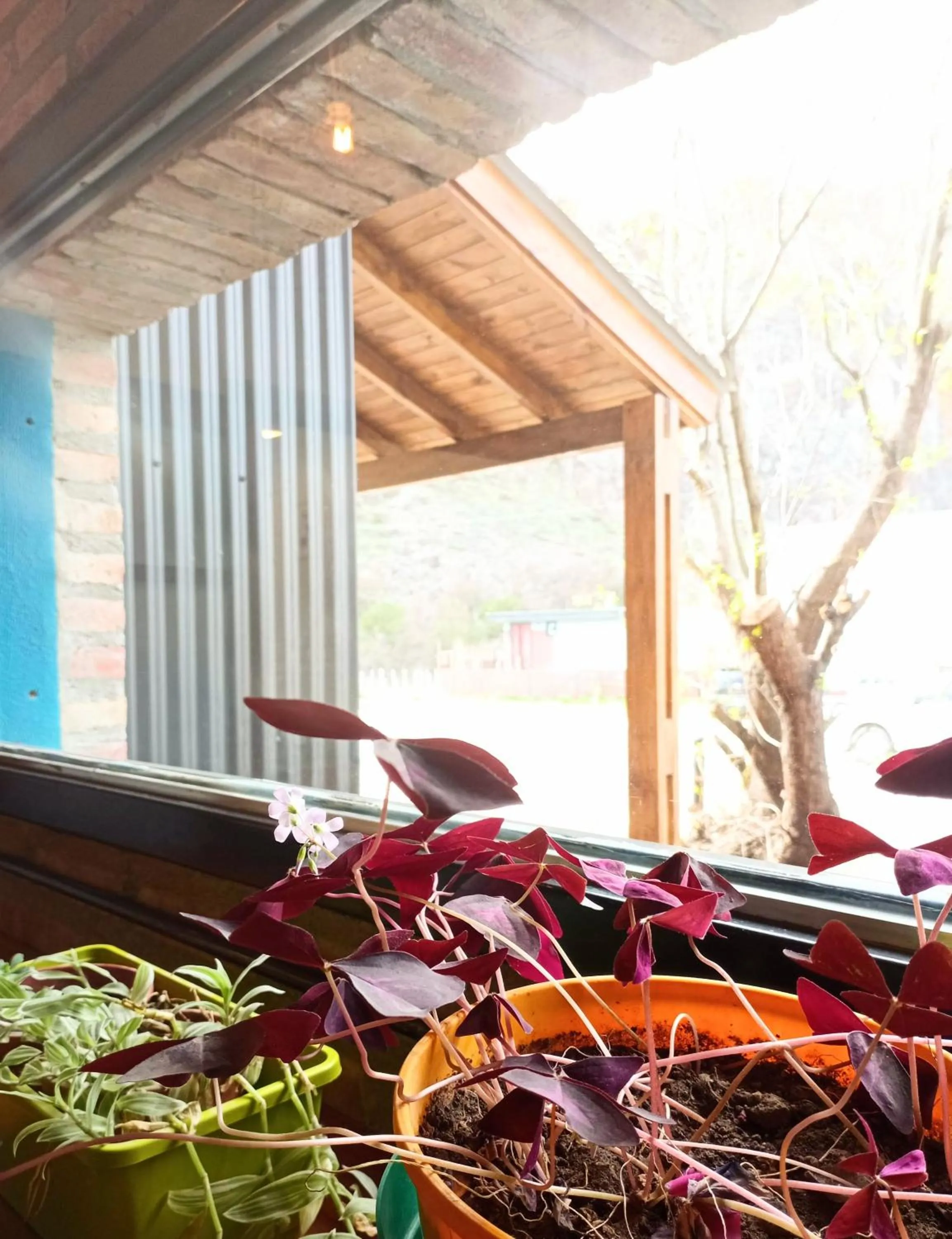 Area and facilities in Posada San Antonio