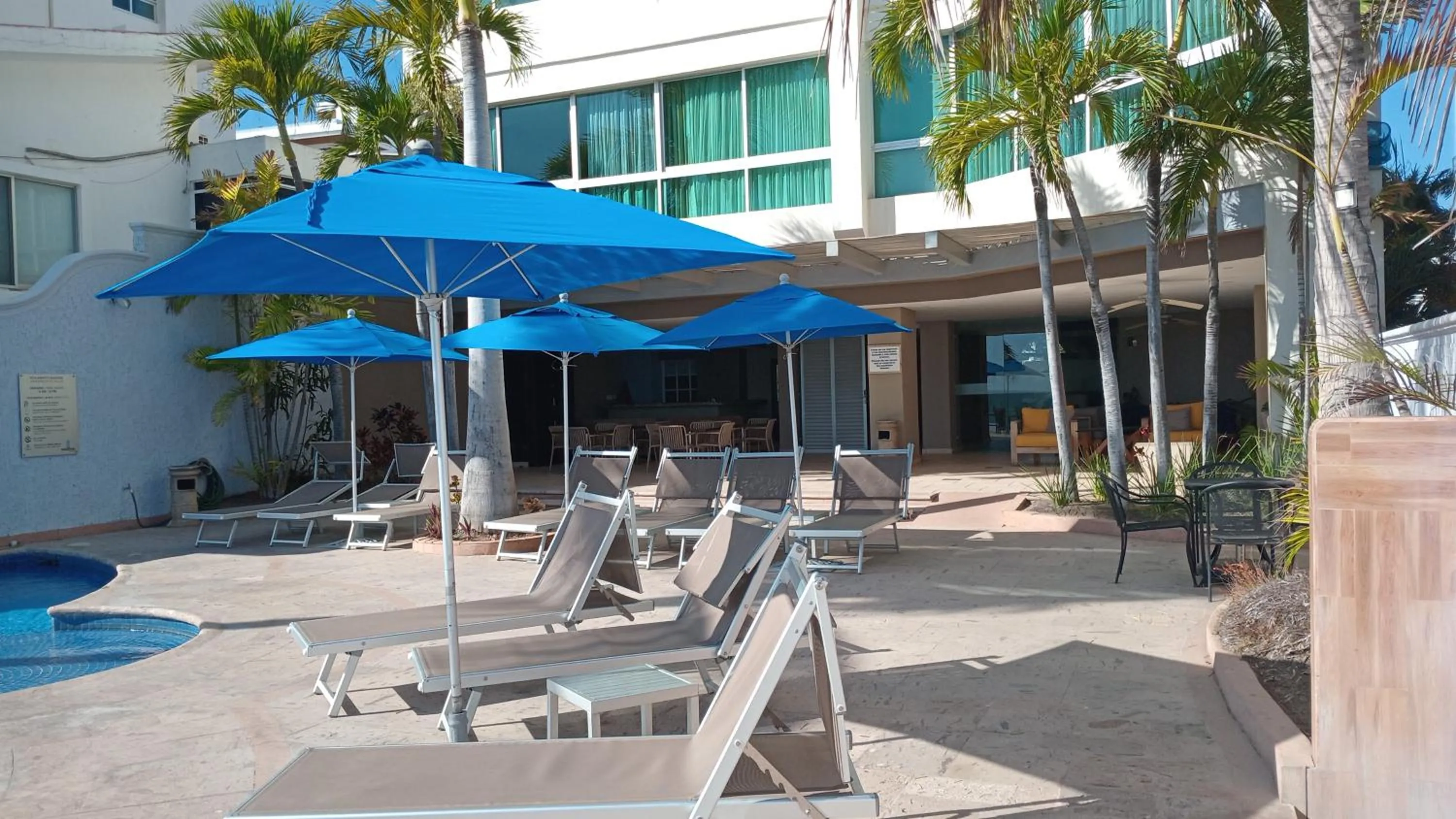 sunbed in Banderas Suites