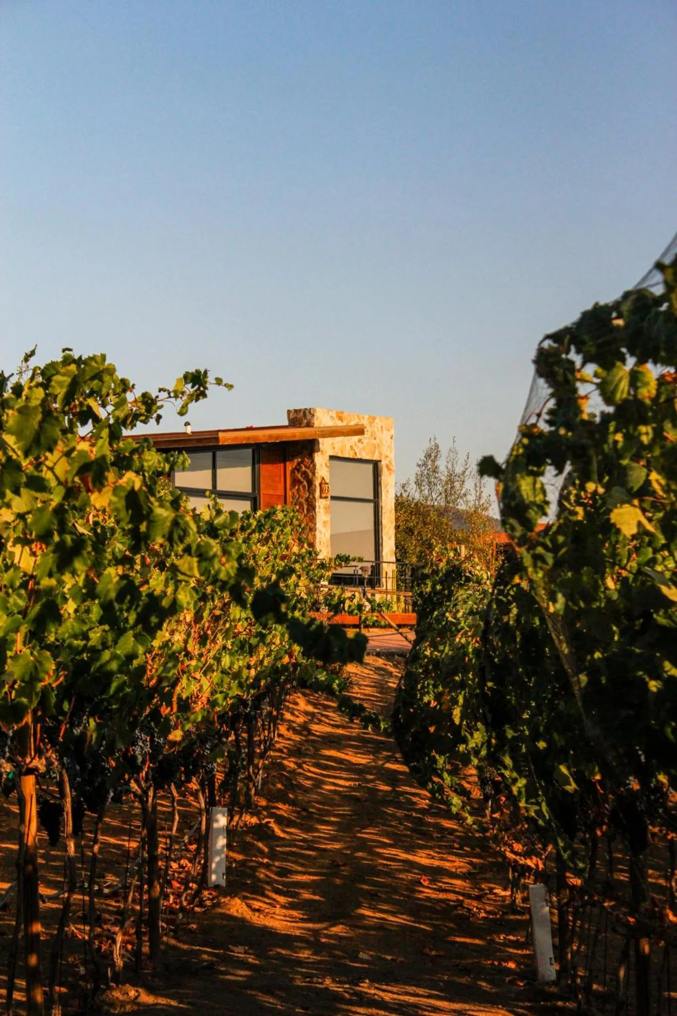 Brisa Del Valle Hotel Boutique