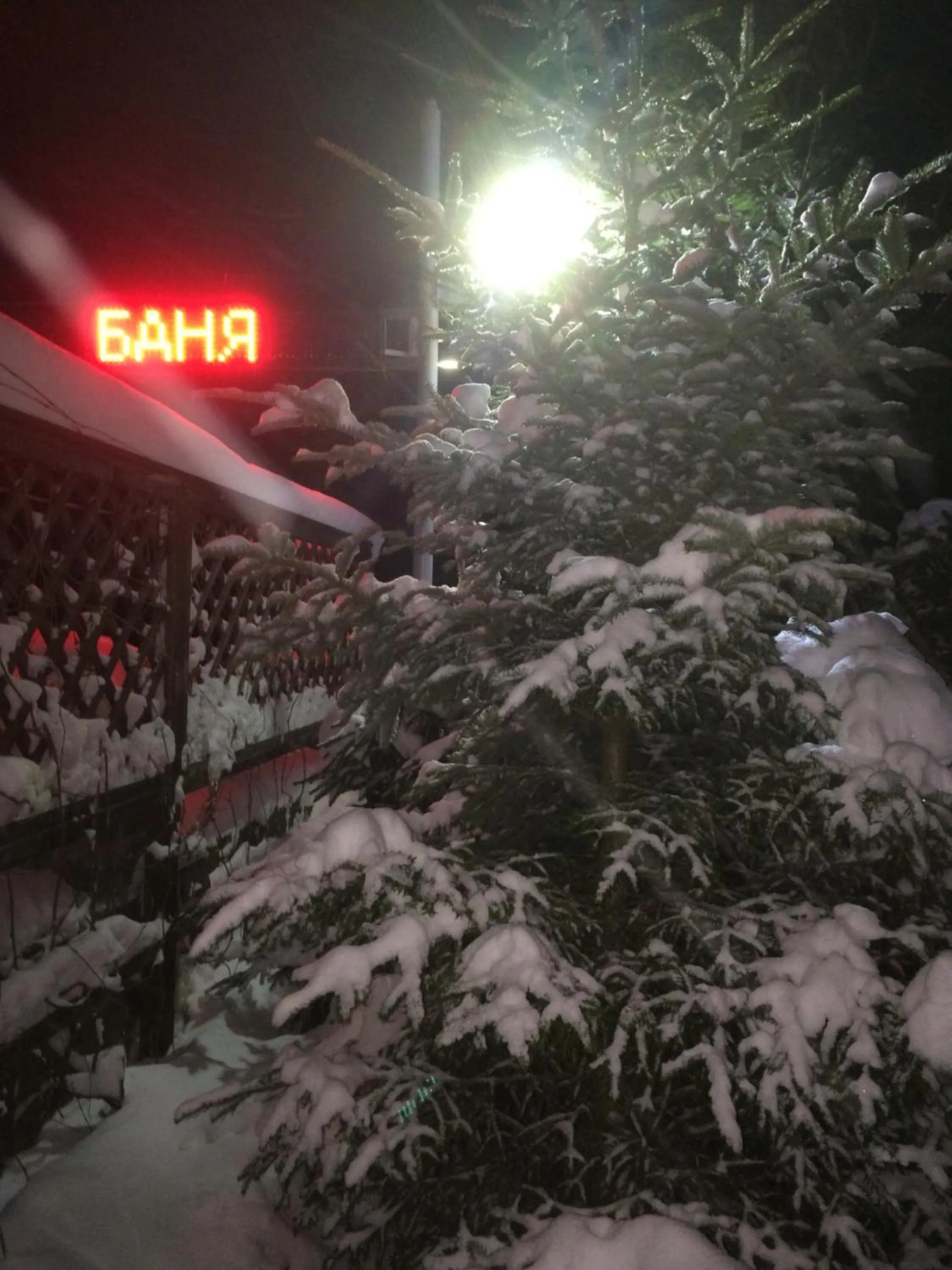 Laguna
