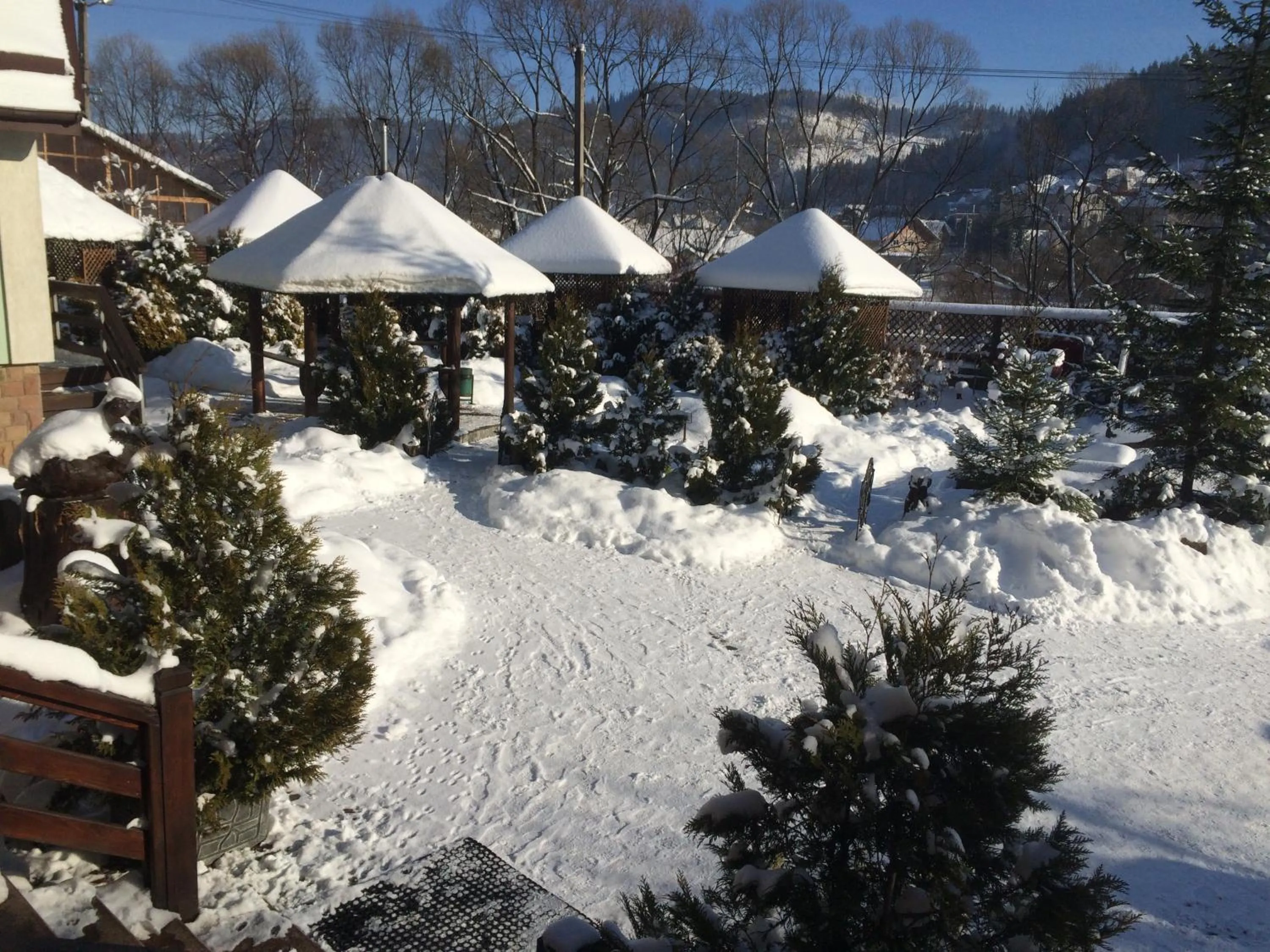 Winter in Laguna