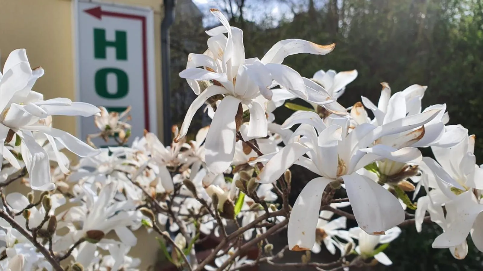 Property building in Bornholmer Hof im Prenzlauer Berg