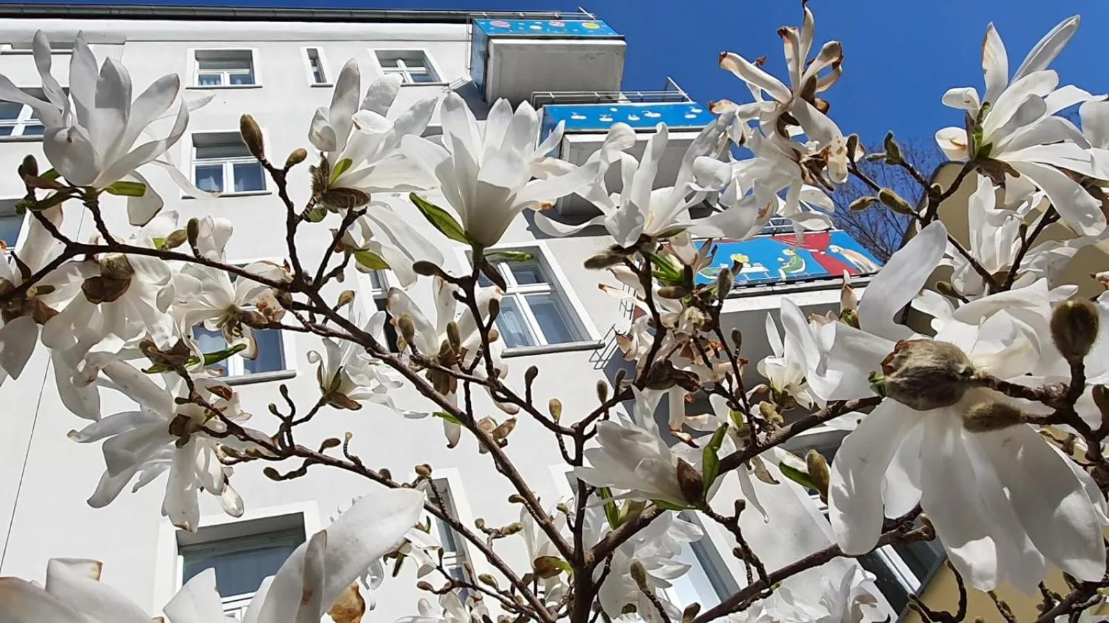 Property building in Bornholmer Hof im Prenzlauer Berg