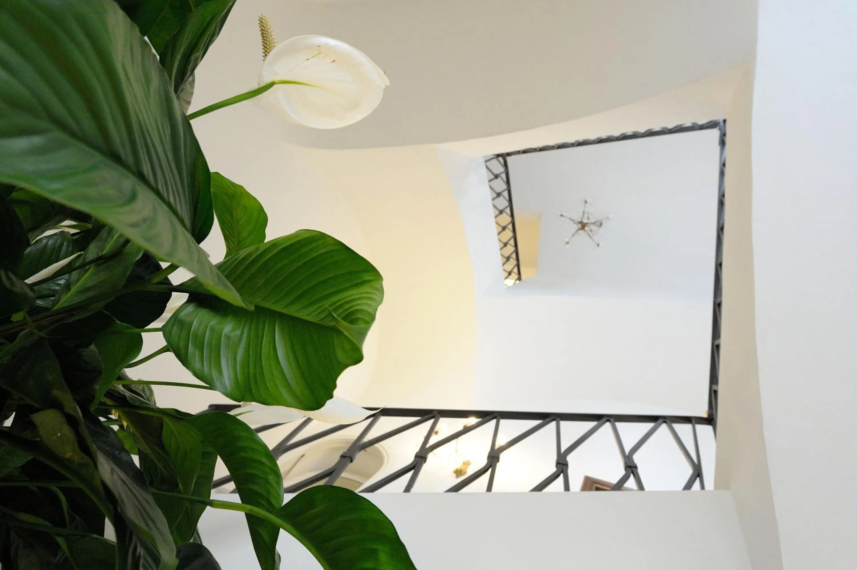 Boutique Gimagì