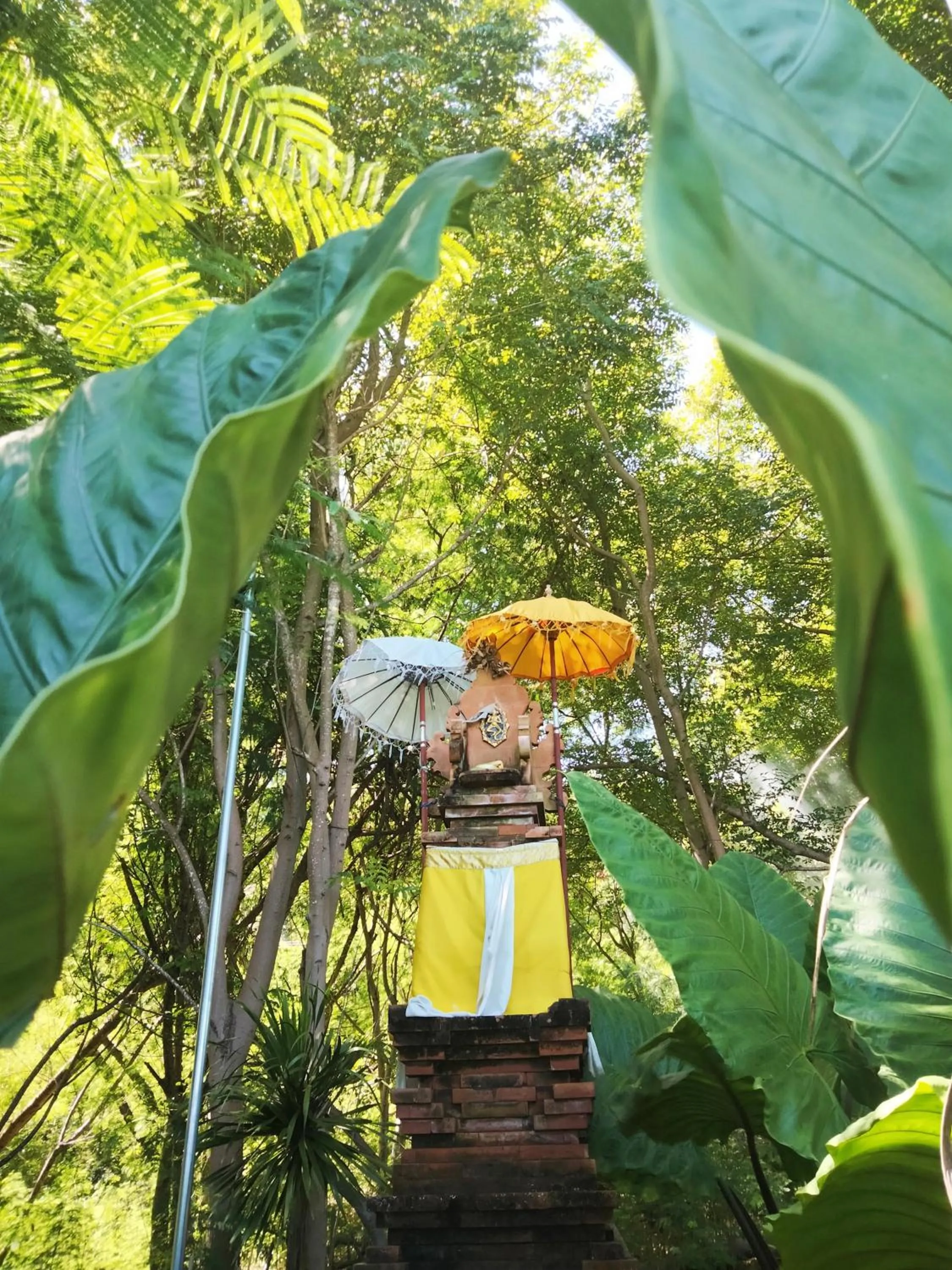 Garden in Paradise Garage Komodo Villa