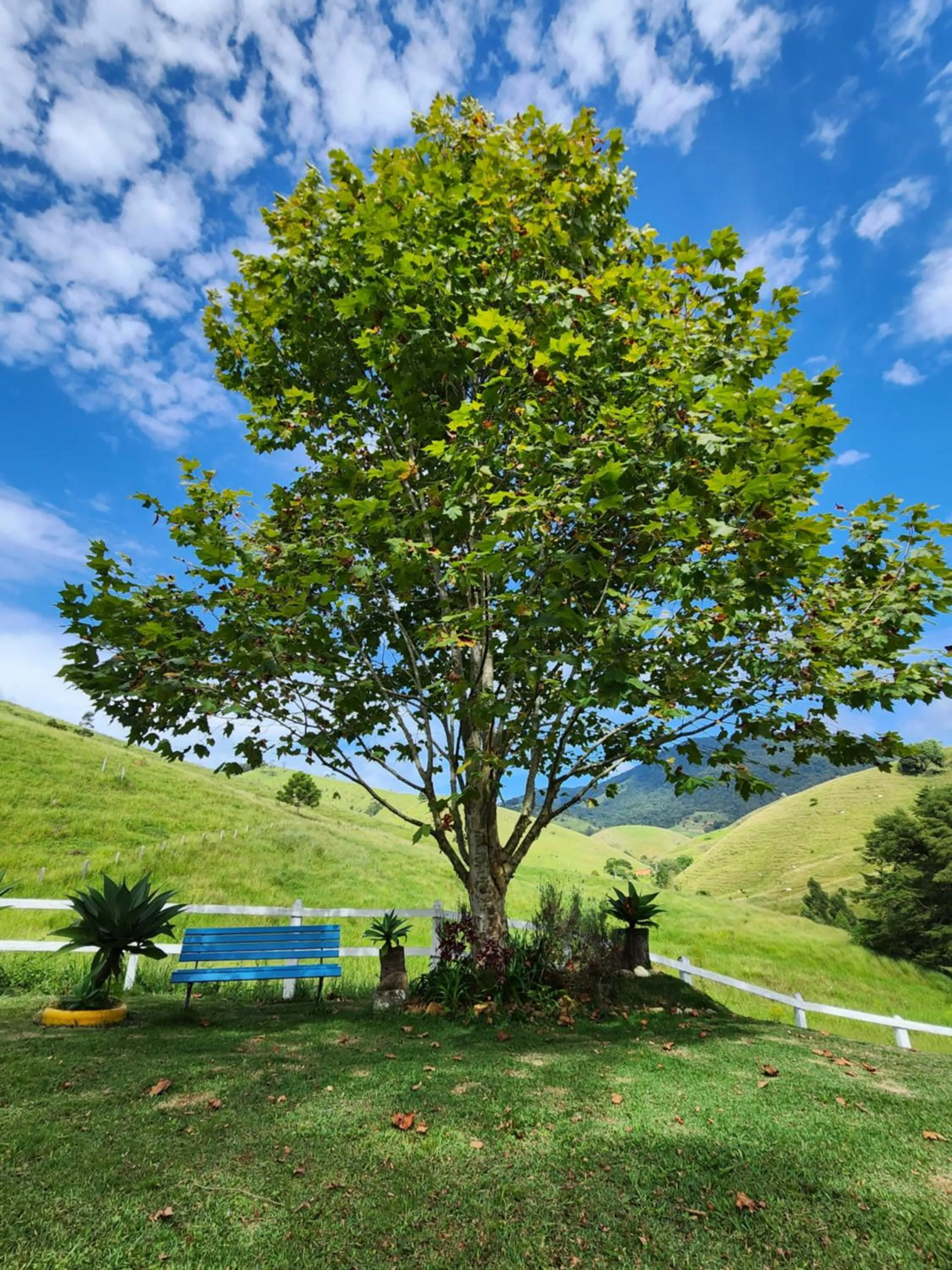 Pousada Vale Monte Azul
