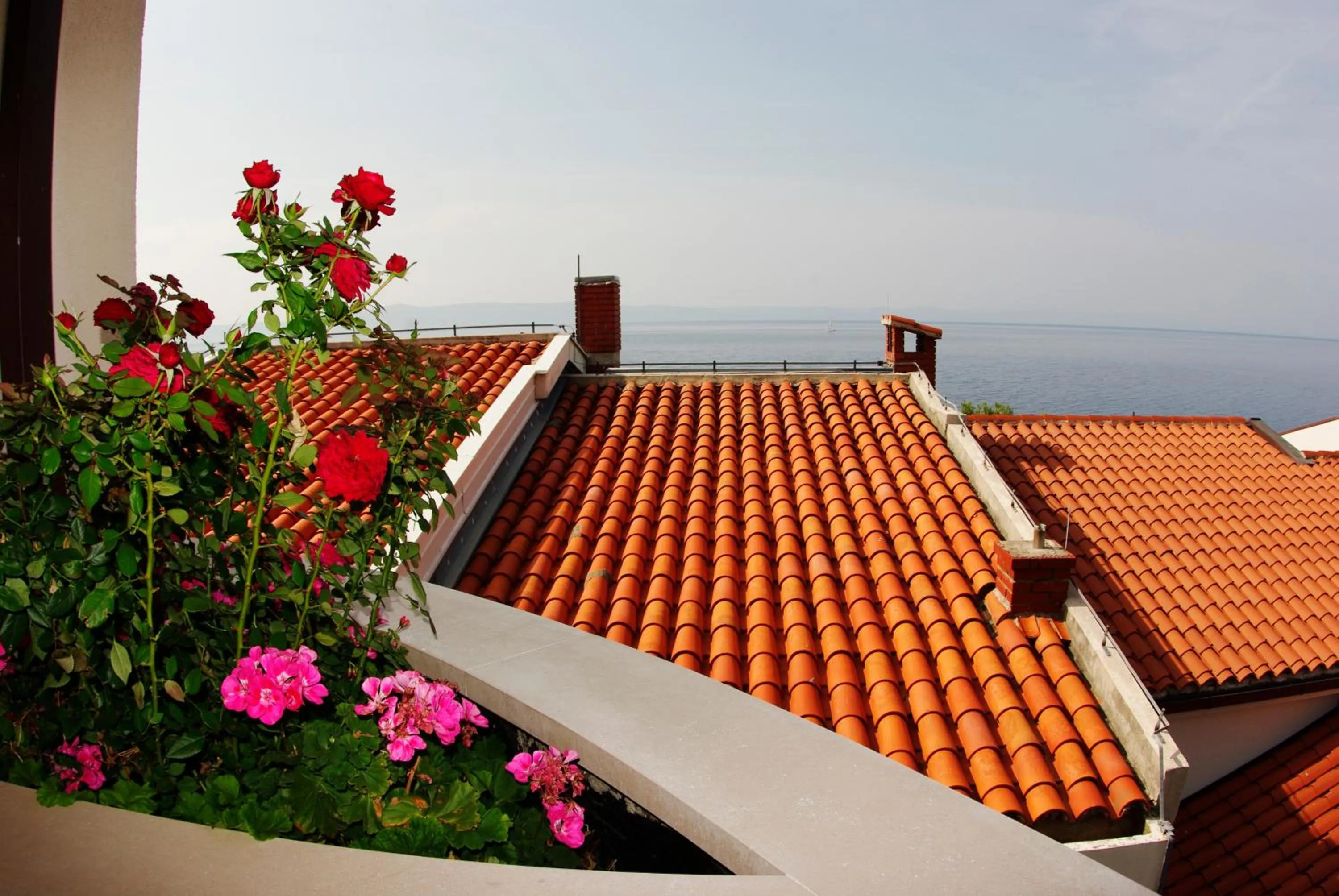 Day in Hotel Villa Marija