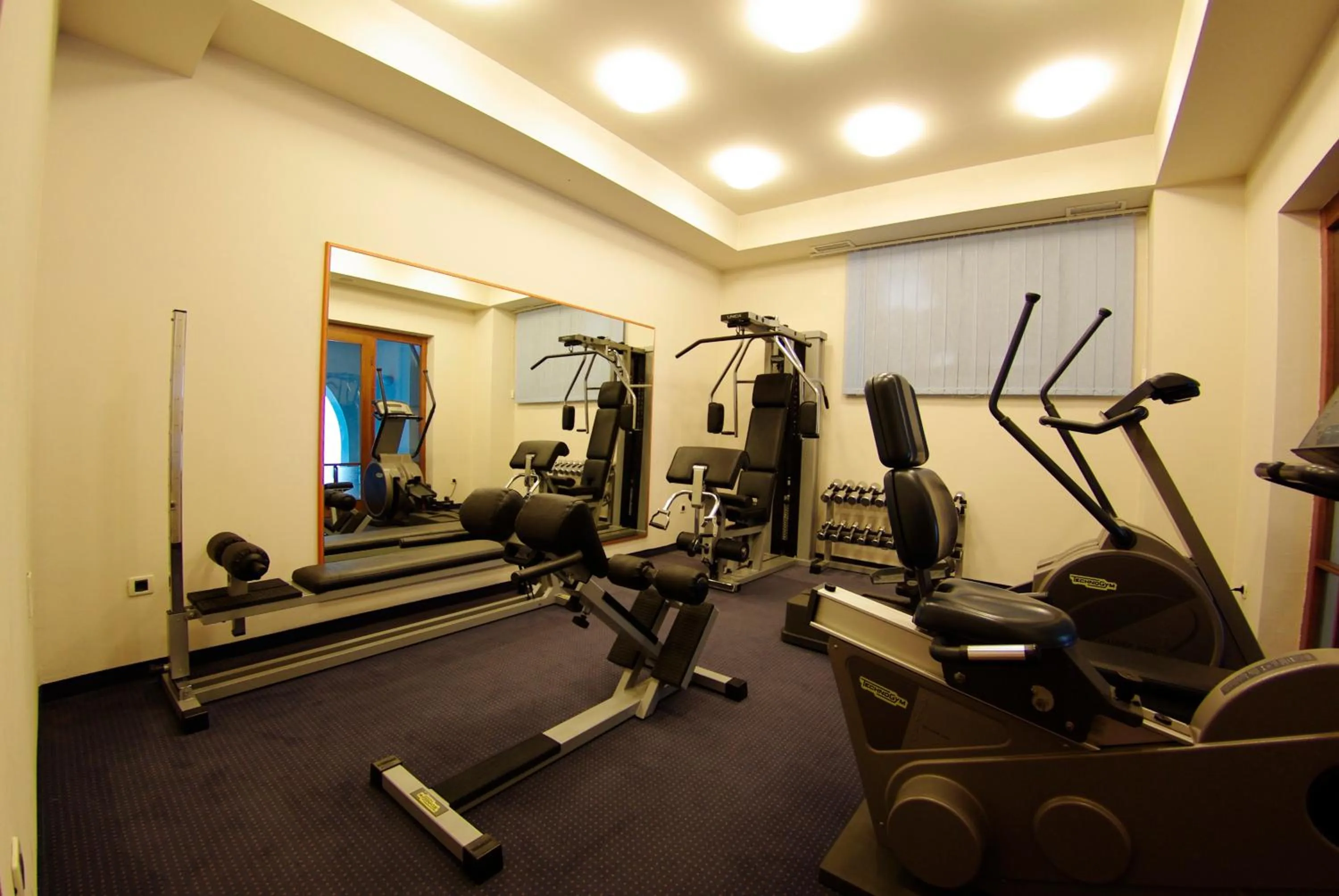 Fitness centre/facilities in Hotel Villa Marija