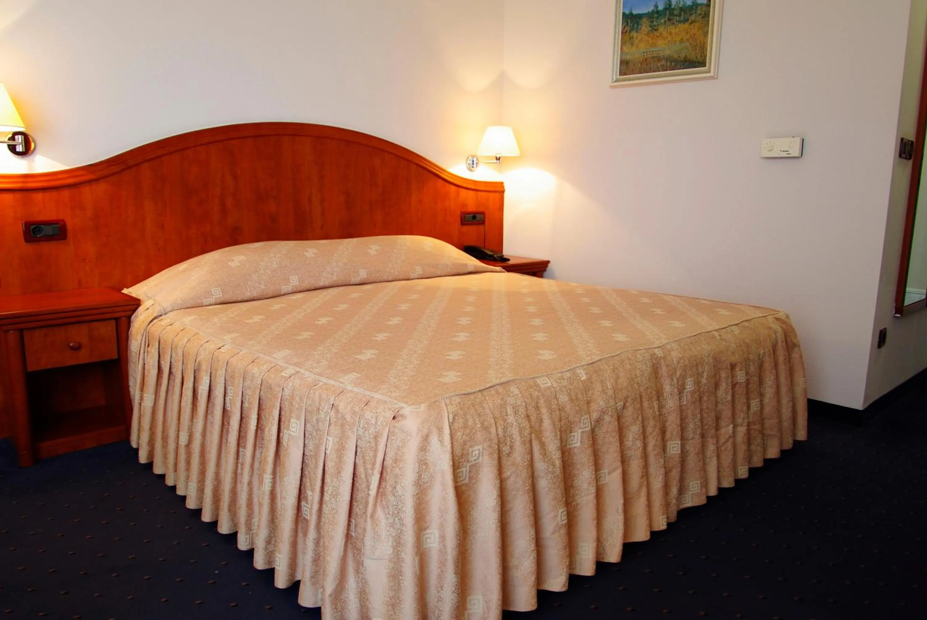 Photo of the whole room, Bed in Hotel Villa Marija