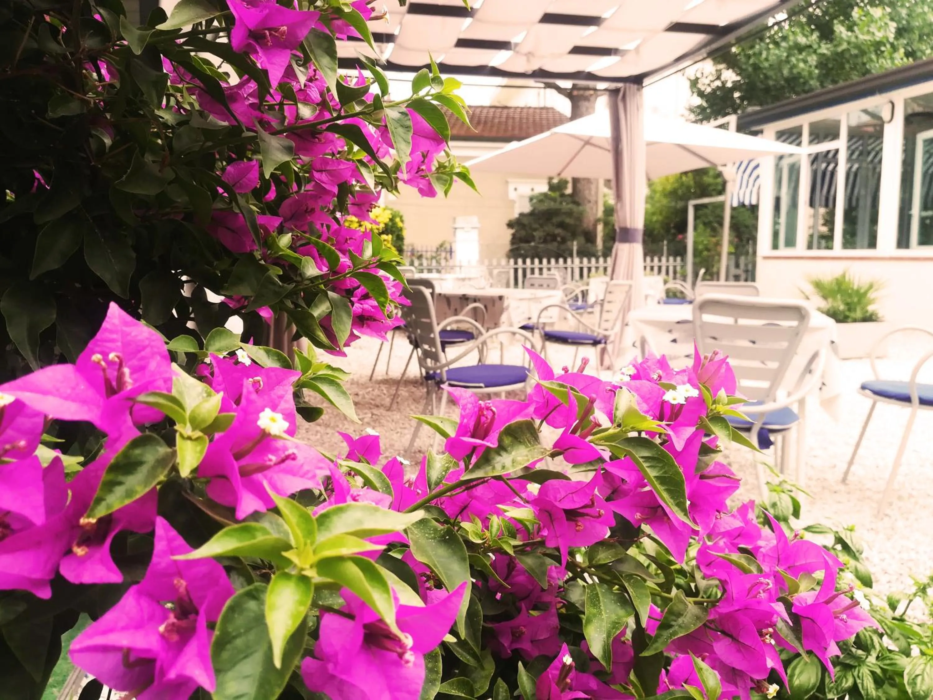 Patio in Albergo Conca d'Oro