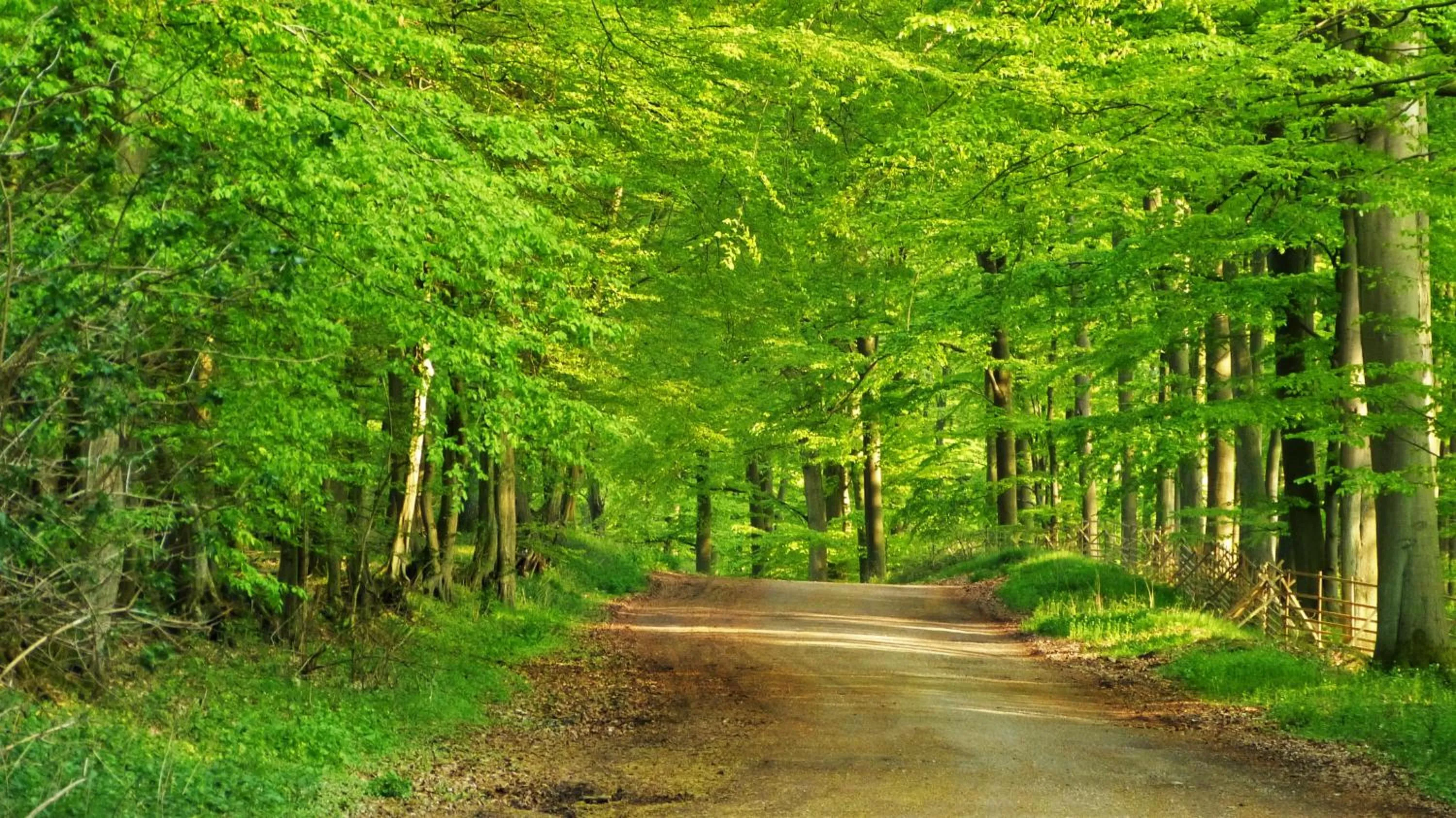 Hiking in Hotel Am Kurpark