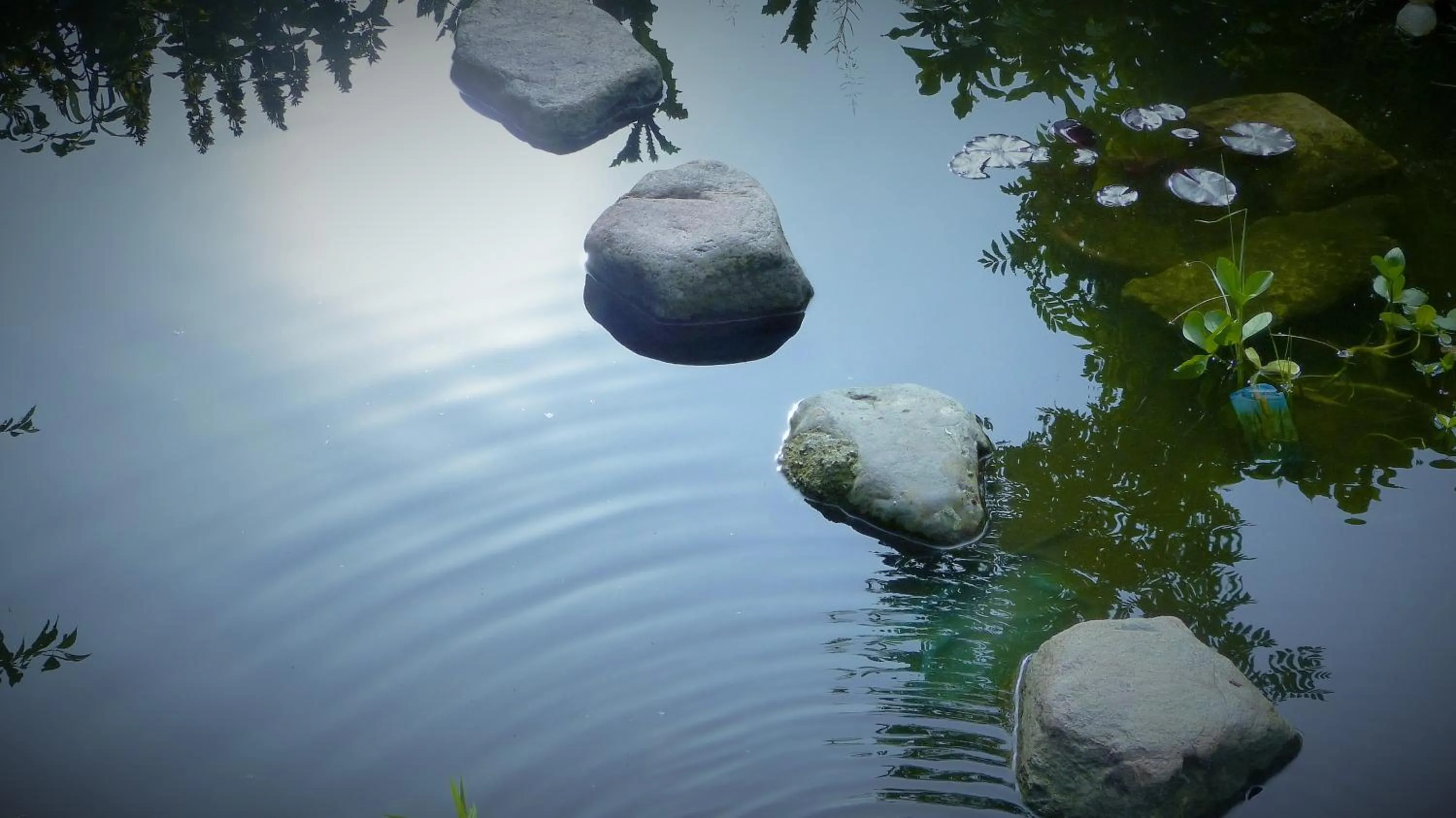 Garden in Hotel Am Kurpark