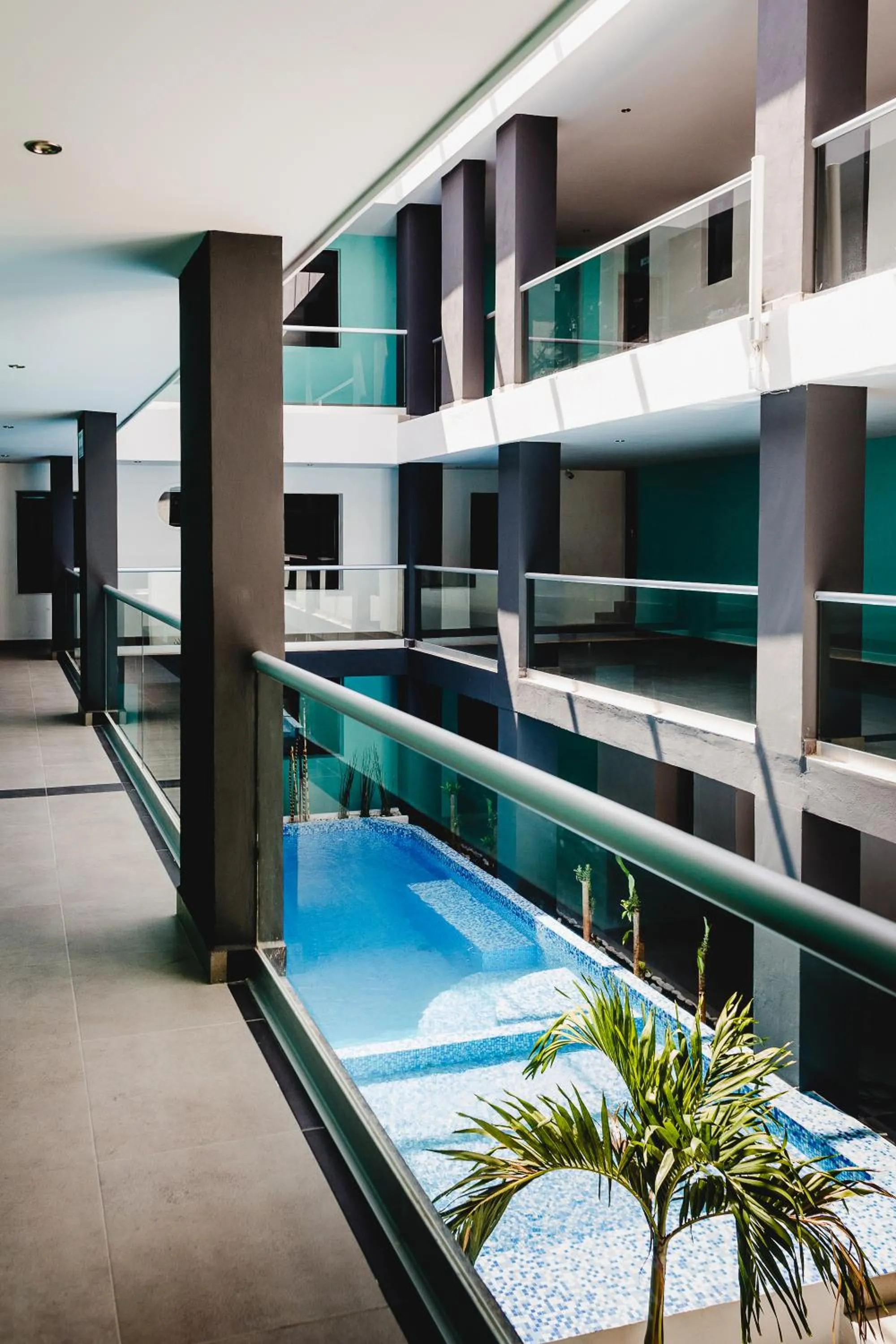 Pool view in Hotel Flamingo Merida