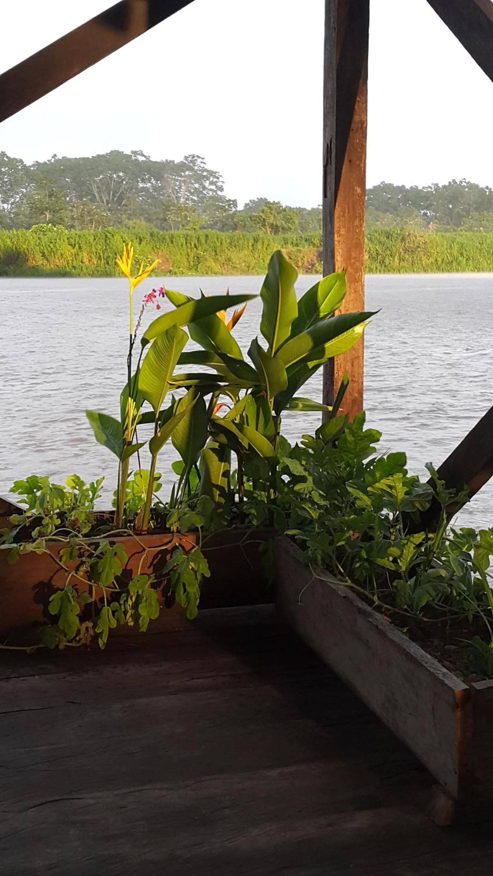 Balcony/Terrace in Cabaña Flotante Kurupira