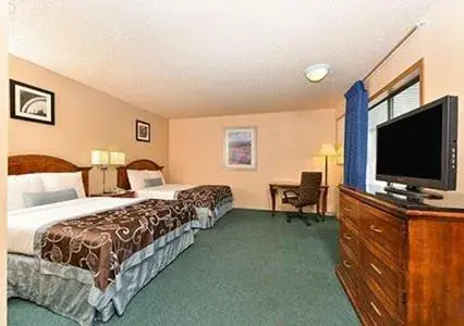 Bed in Budget Host Bed in Budget Host