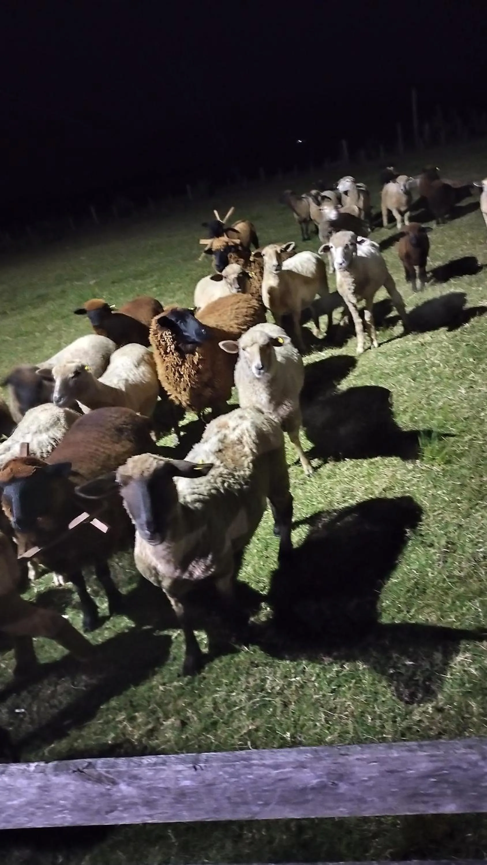 Pousada do Pampa