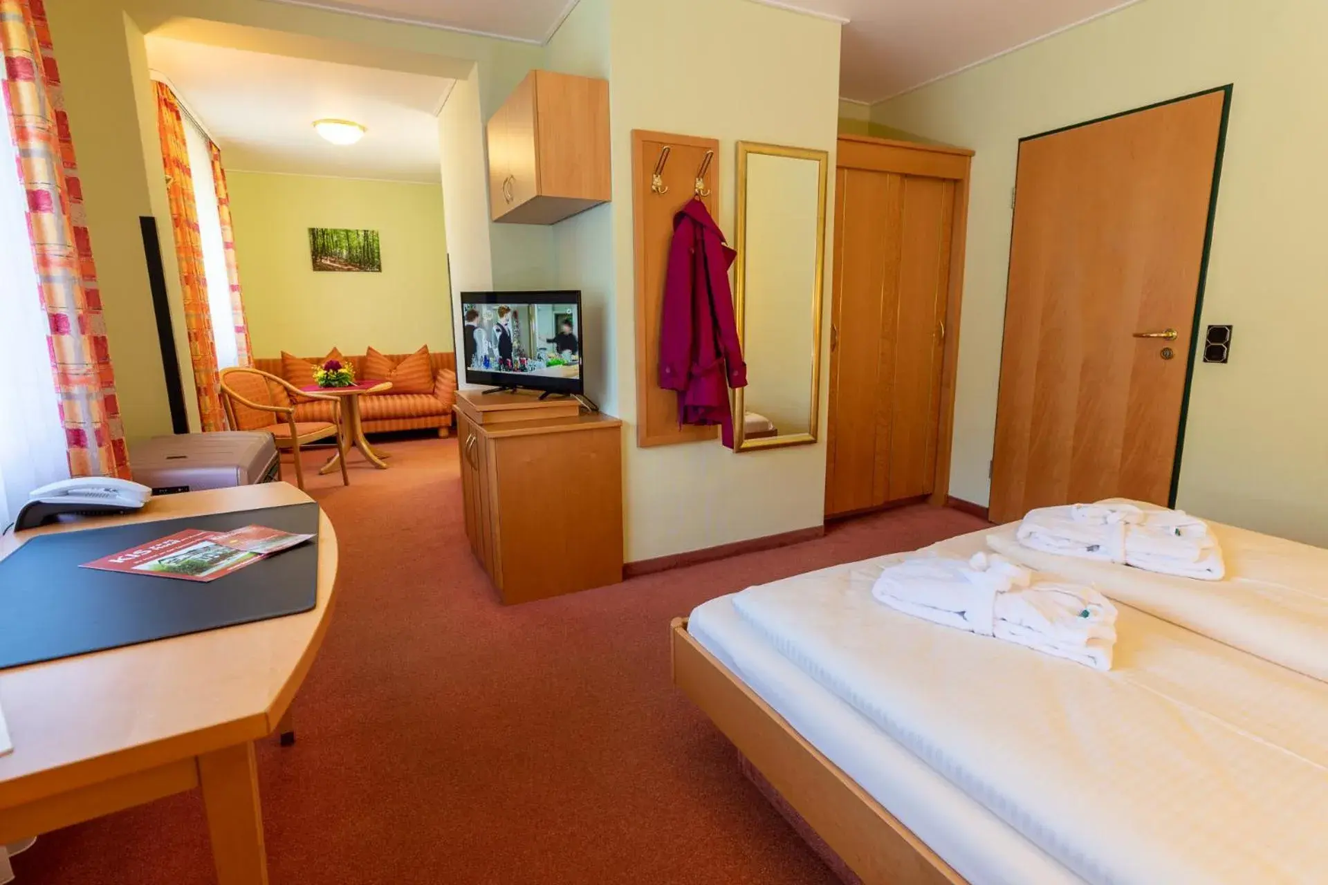 Double Room - single occupancy in KIShotel am Kurpark Double Room - single occupancy in KIShotel am Kurpark