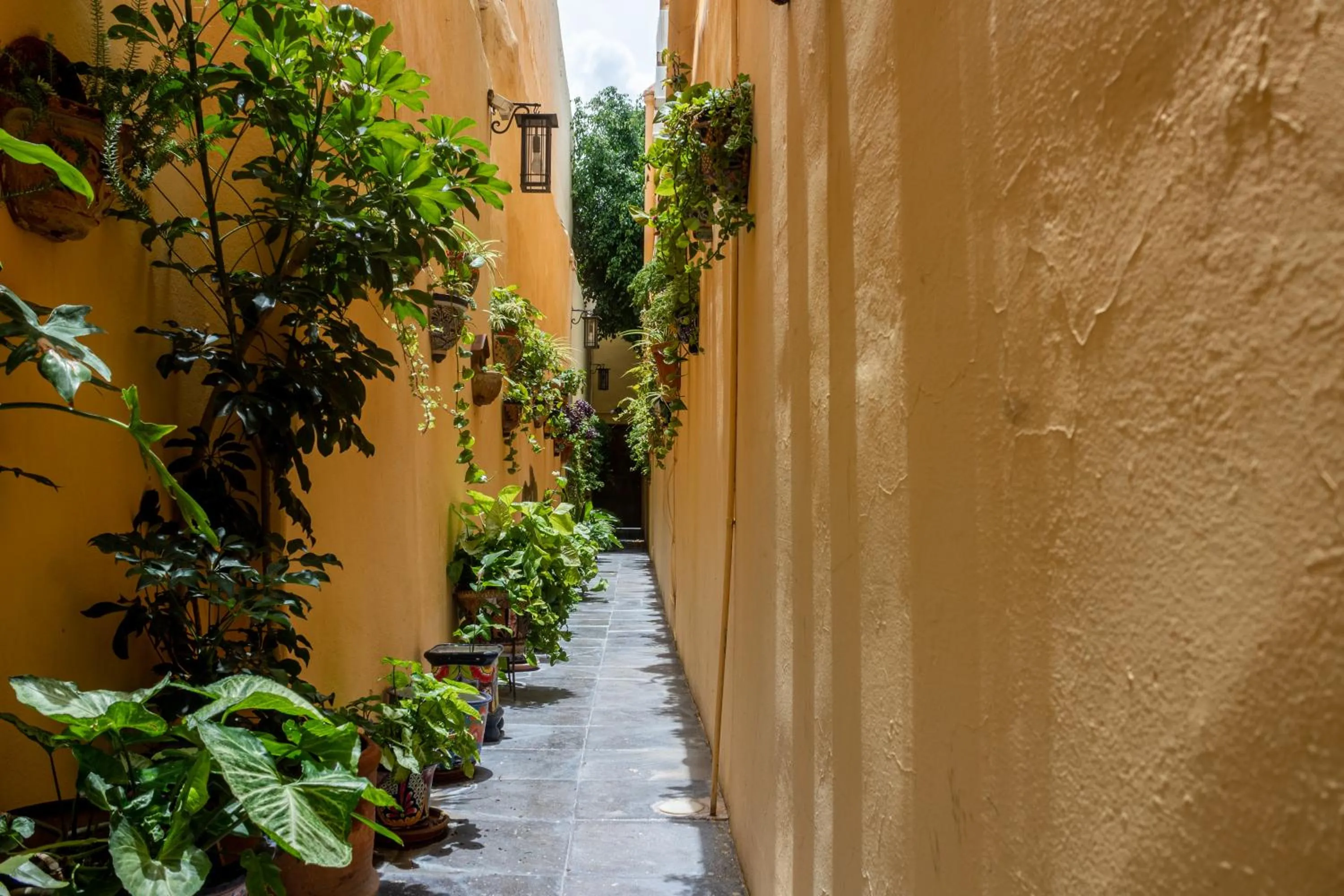 Lobby or reception in Casa Maricela B&B