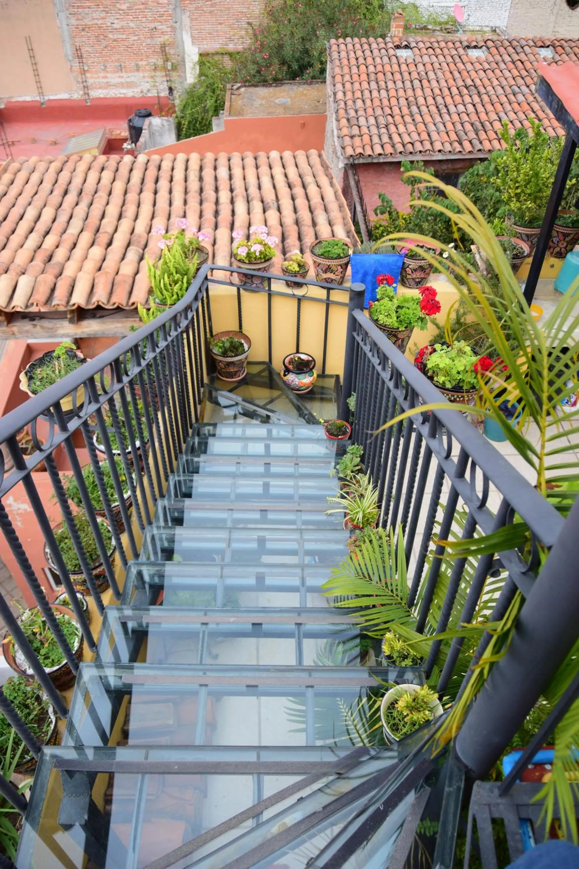 Balcony/Terrace in Casa Maricela B&B