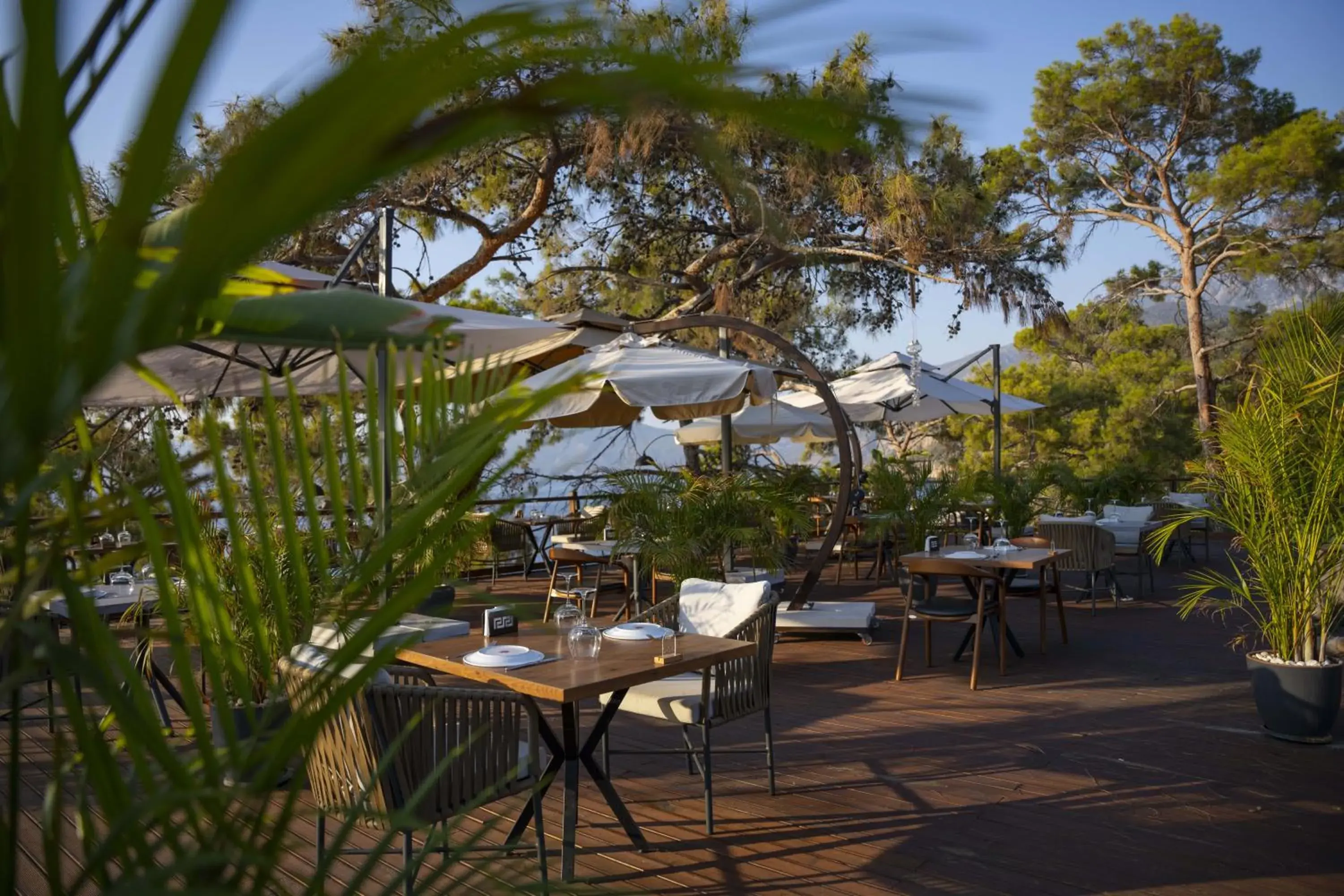 Restaurant/places to eat in Lov Faralya Adults Only Restaurant/places to eat in Lov Faralya Adults Only