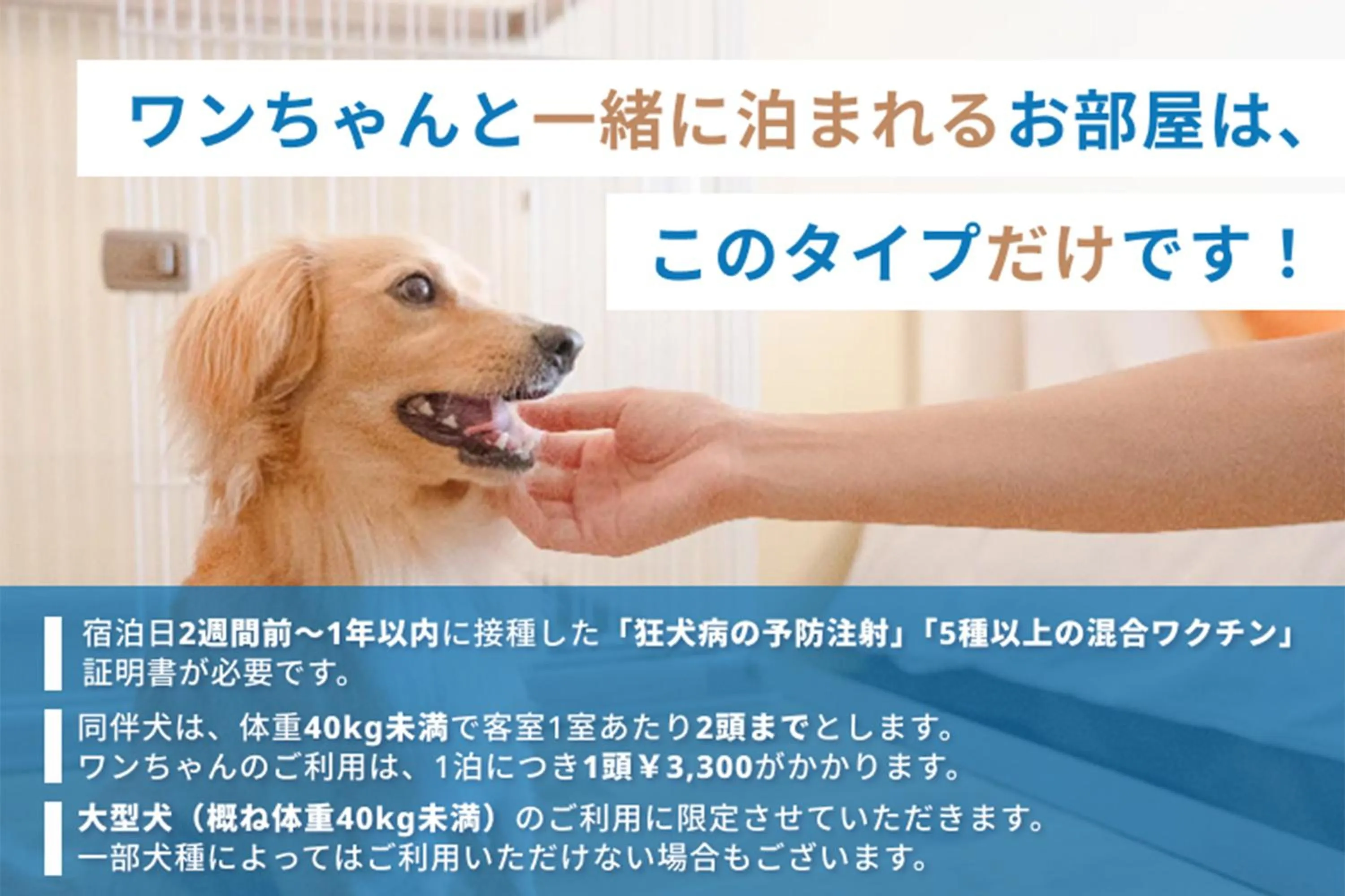pet friendly in Shimoda Prince Hotel