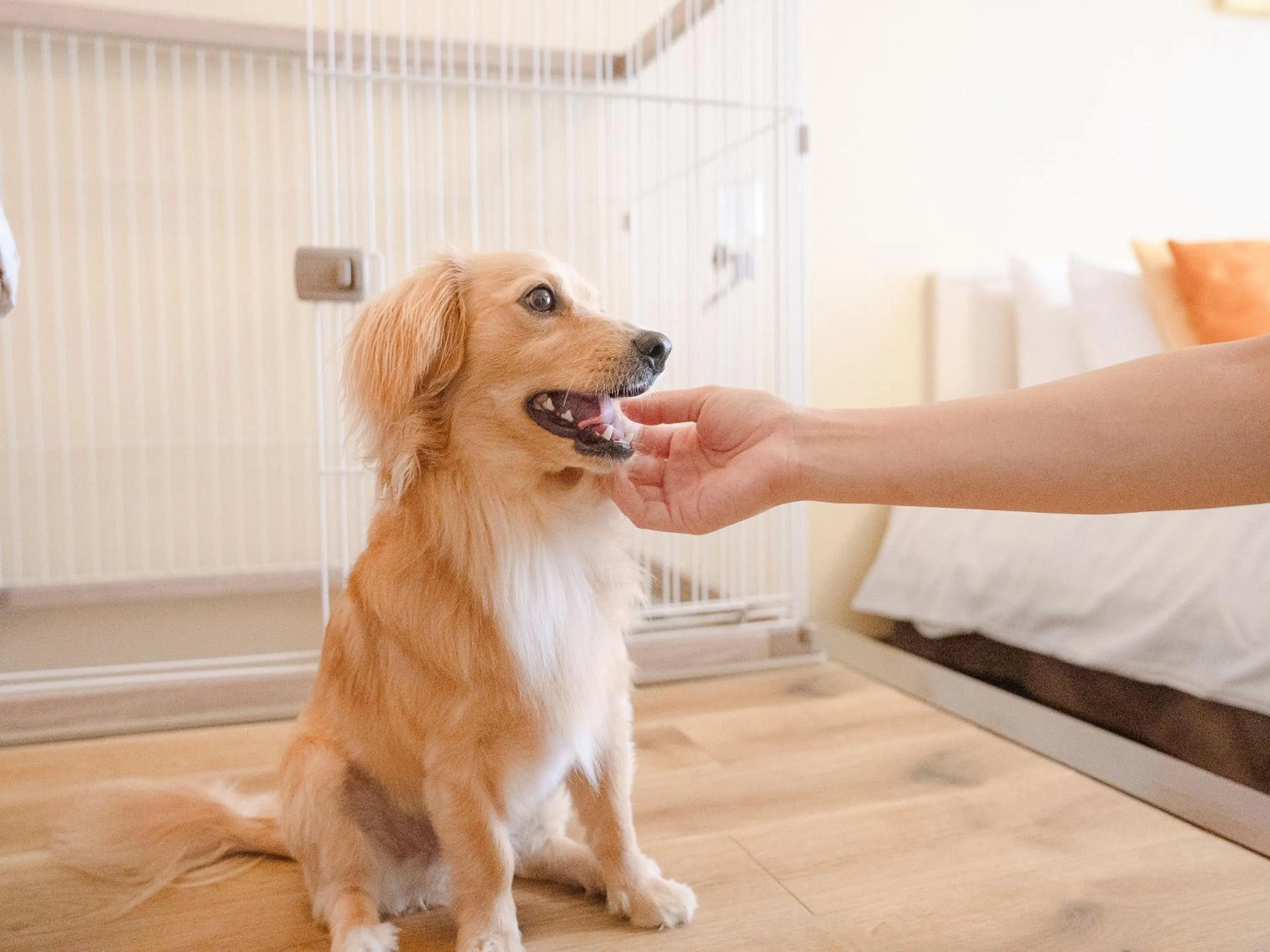 Shimoda Prince Hotel