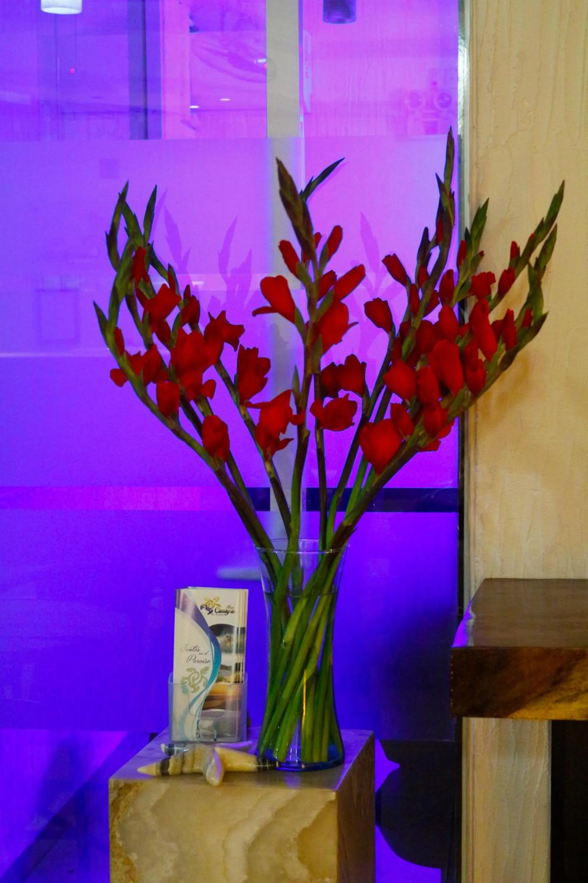 Lobby or reception in Hotel Careyes Puerto Escondido