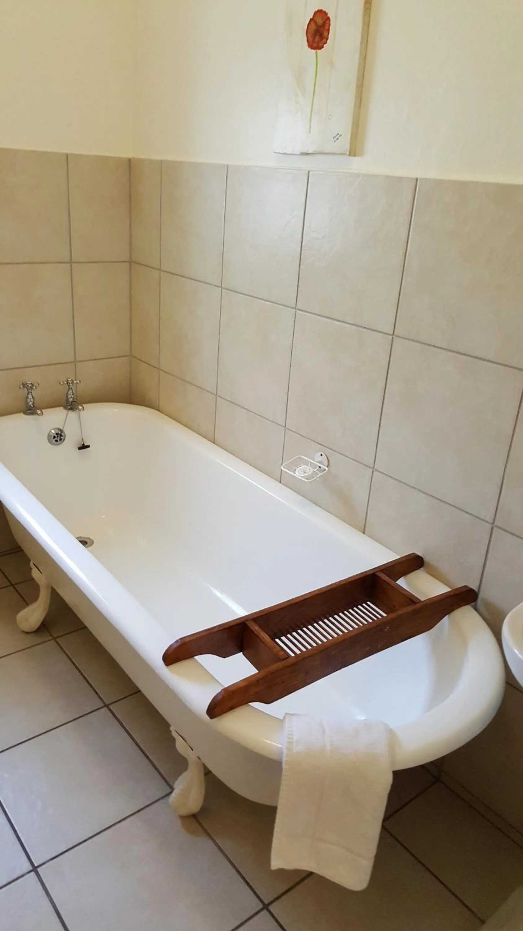 Bathroom in Camdeboo Cottages