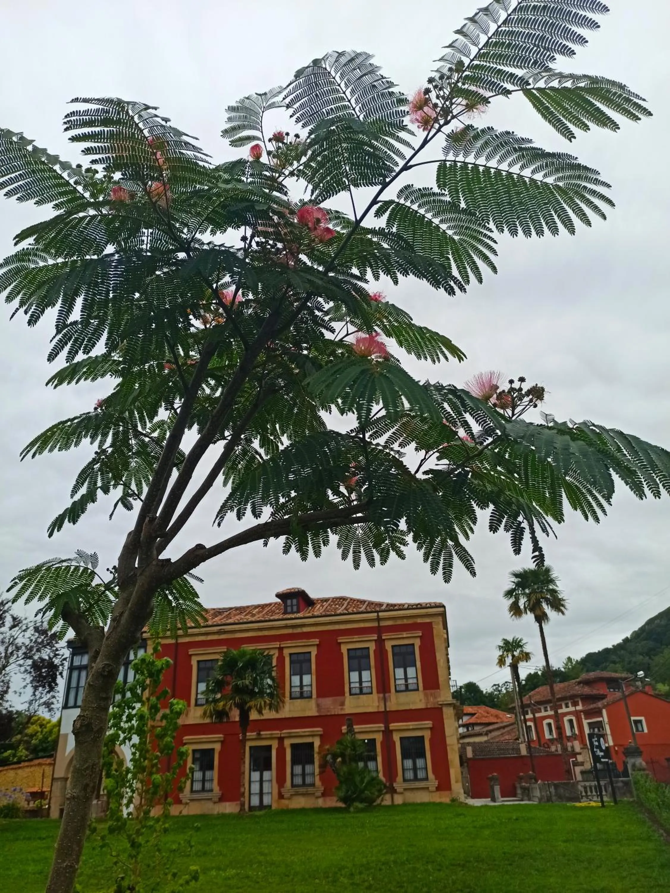 Garden in La Venta de Miyares - Casa de Indianos
