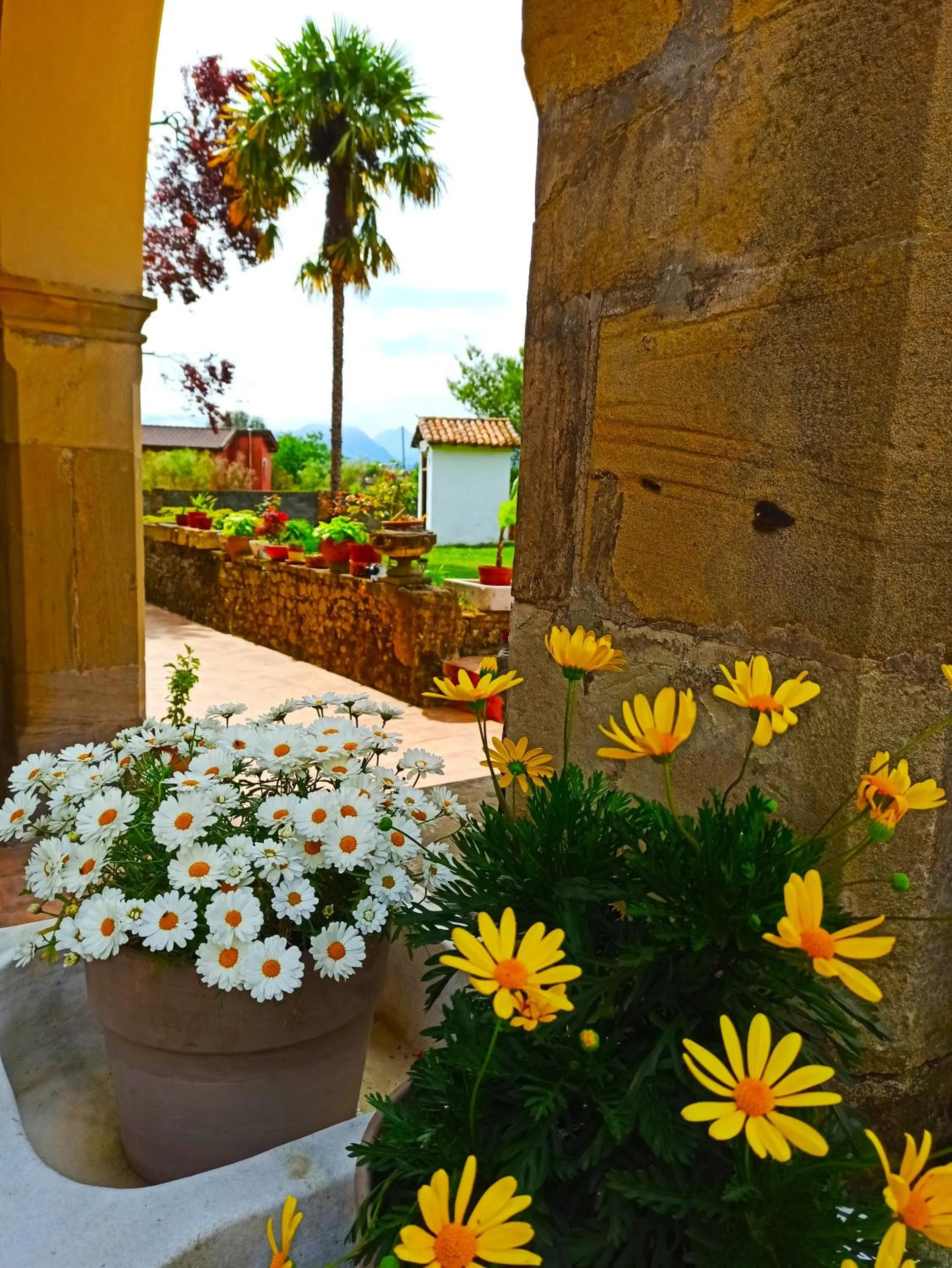 Garden in La Venta de Miyares - Casa de Indianos