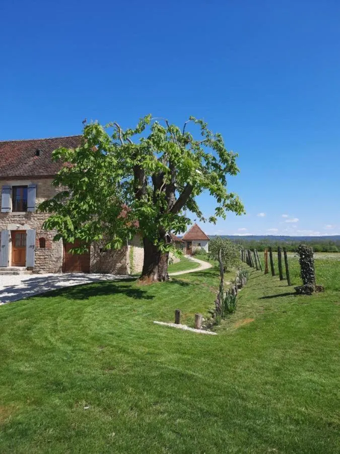 Garden in Domaine du moulin de Jeanne