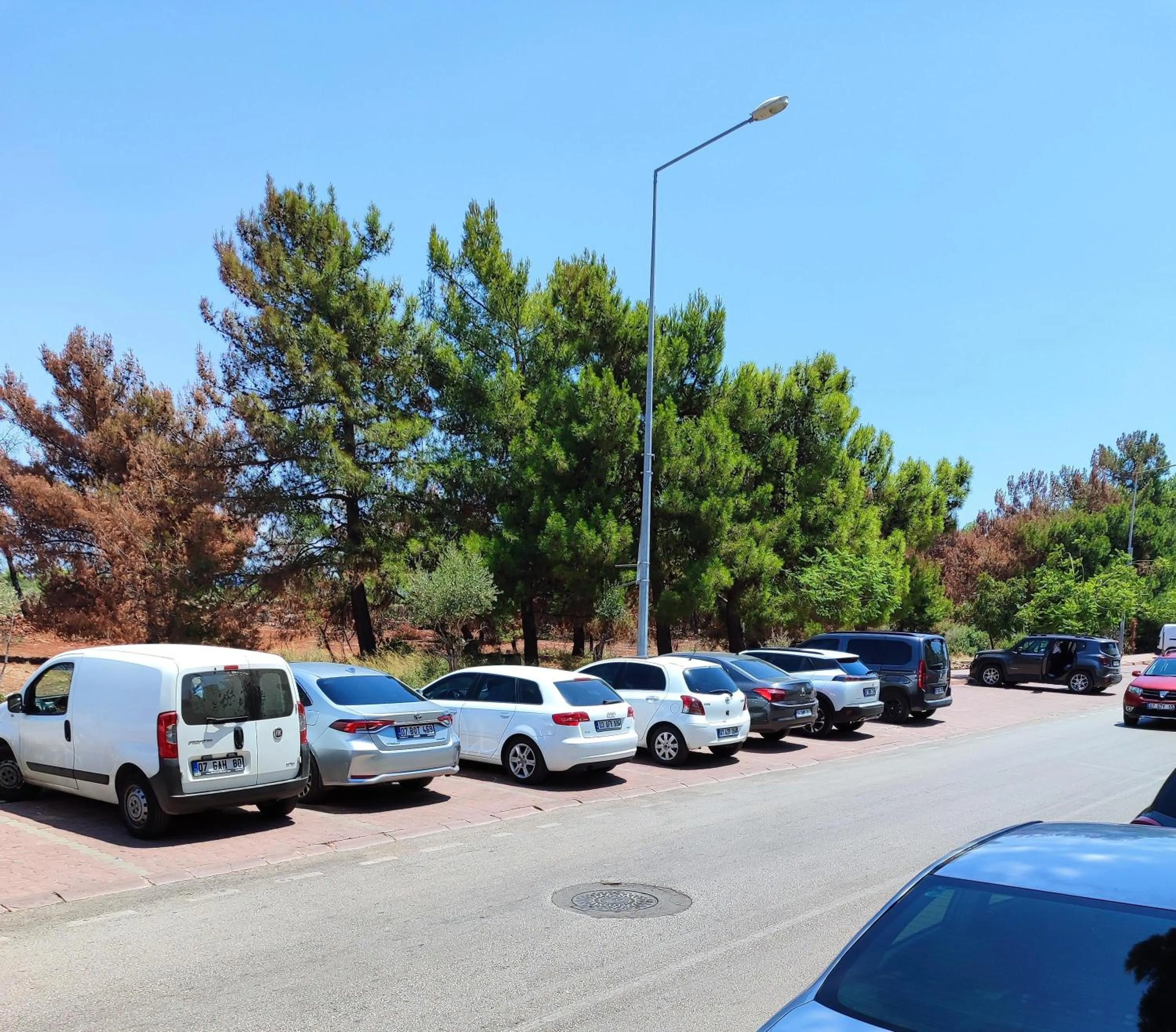 Parking in REGA OTEL