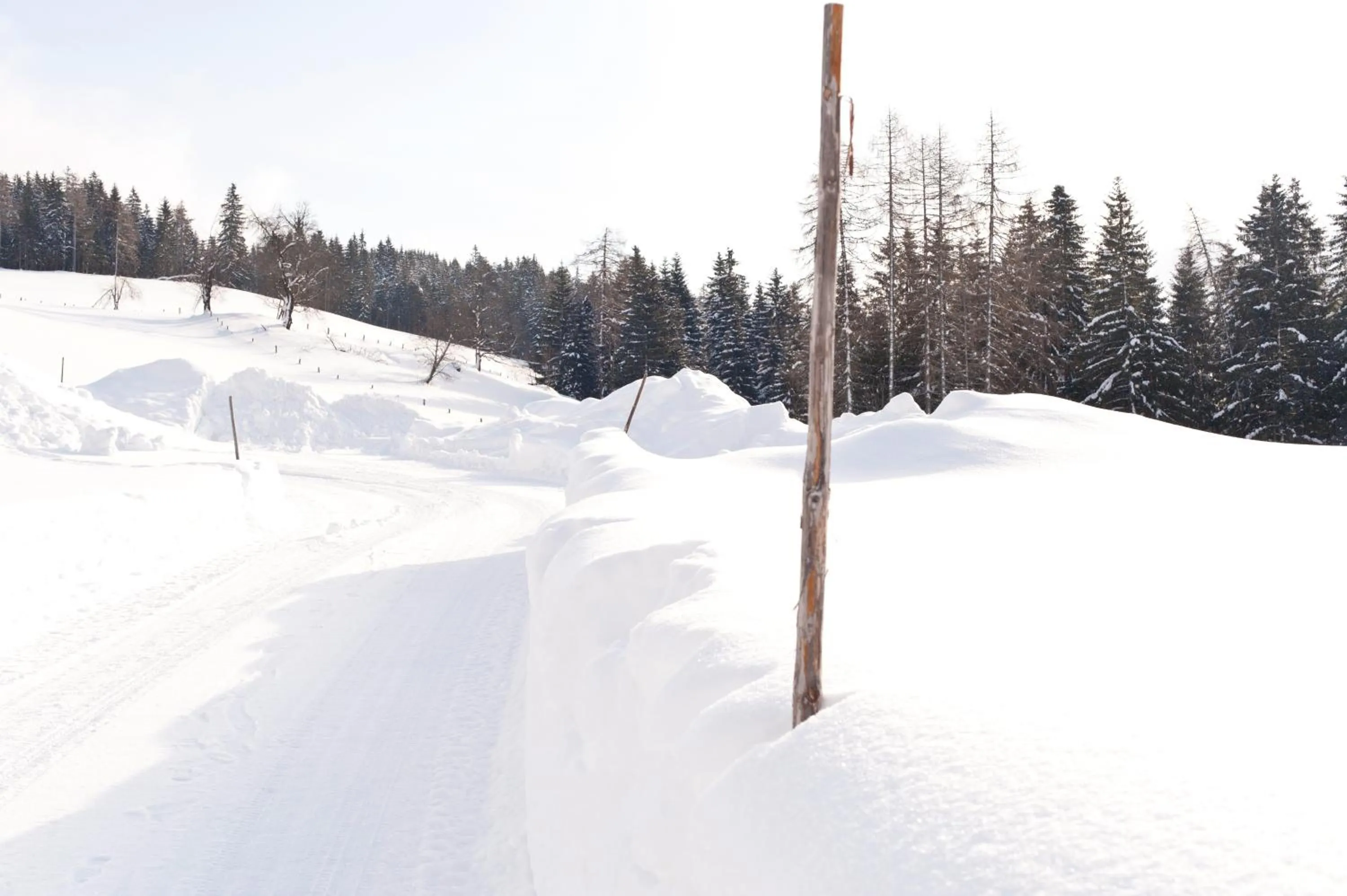Area and facilities in Hotel Alpenkrone