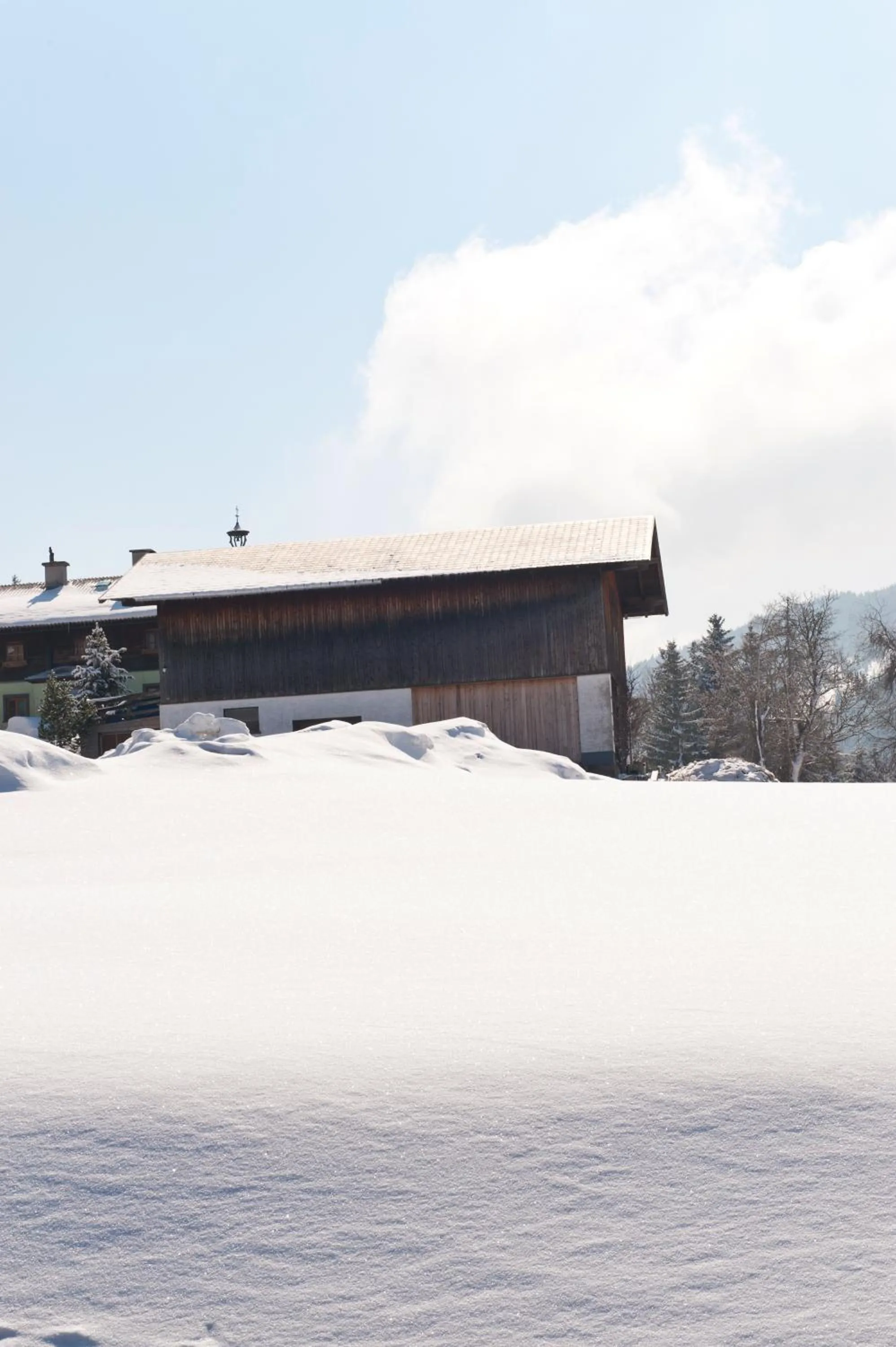 Facade/entrance in Hotel Alpenkrone