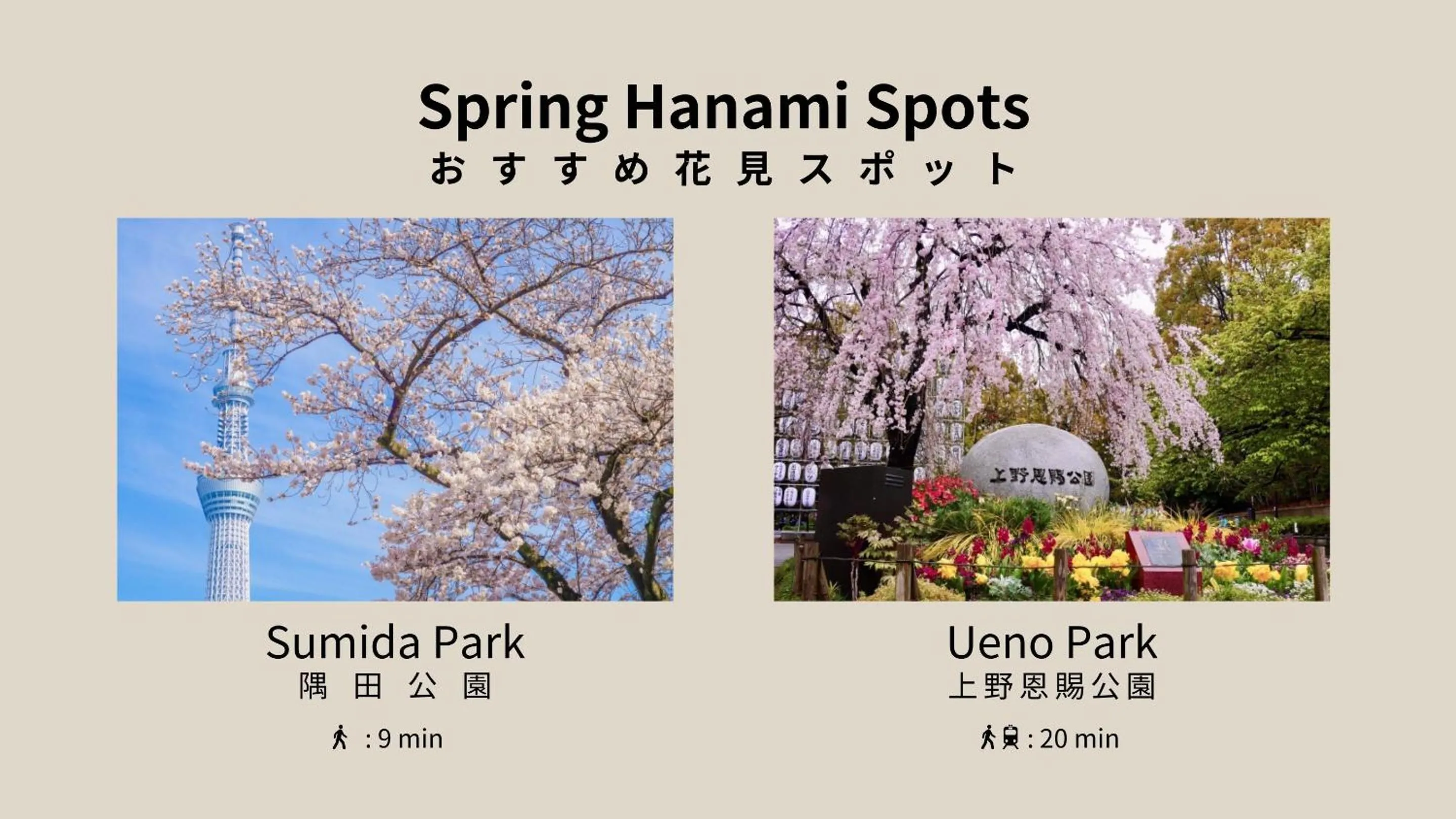 Nearby landmark in BON Tokyo Asakusa