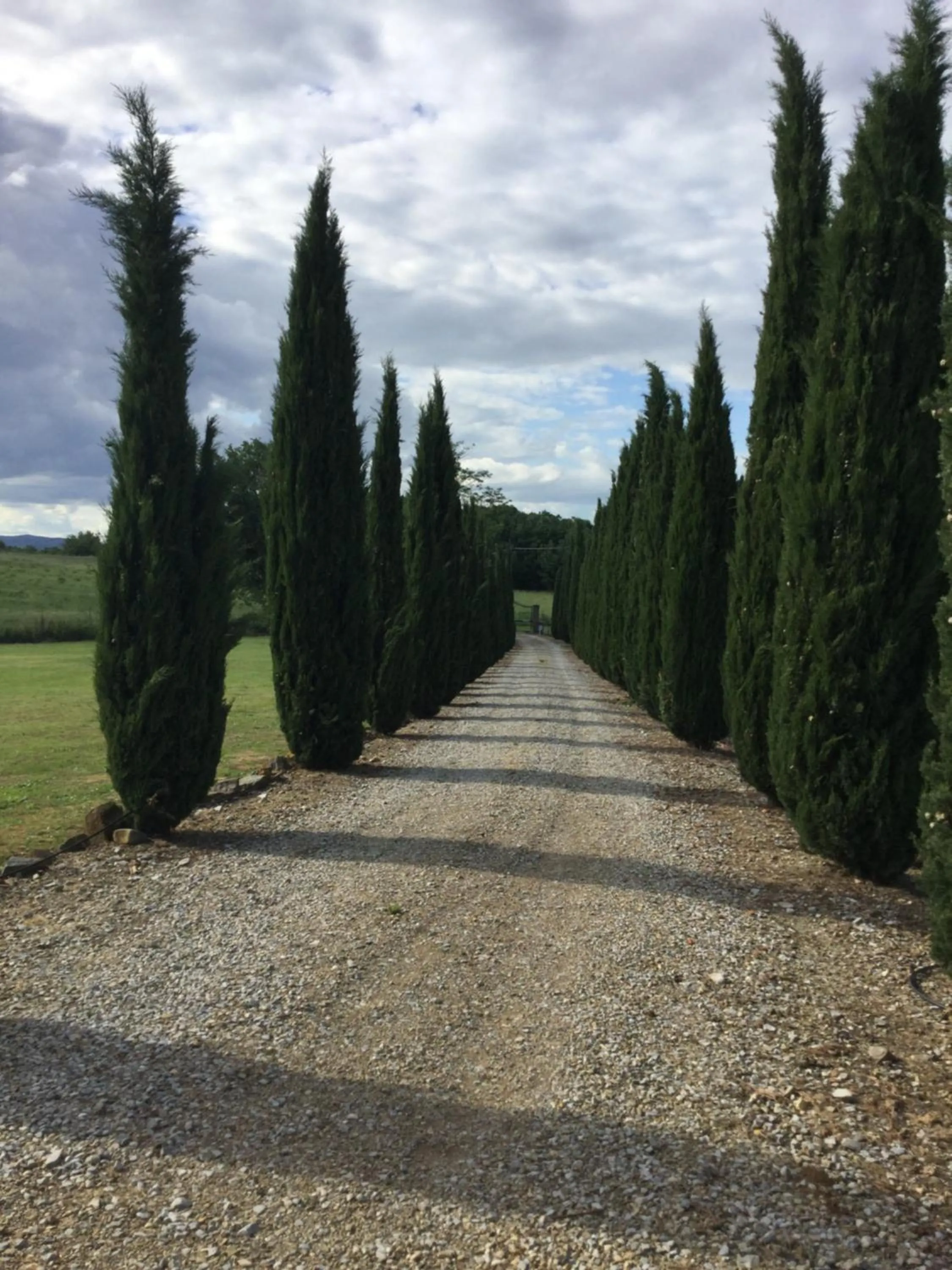 Facade/entrance in Agriturismo Podere Delle Querci
