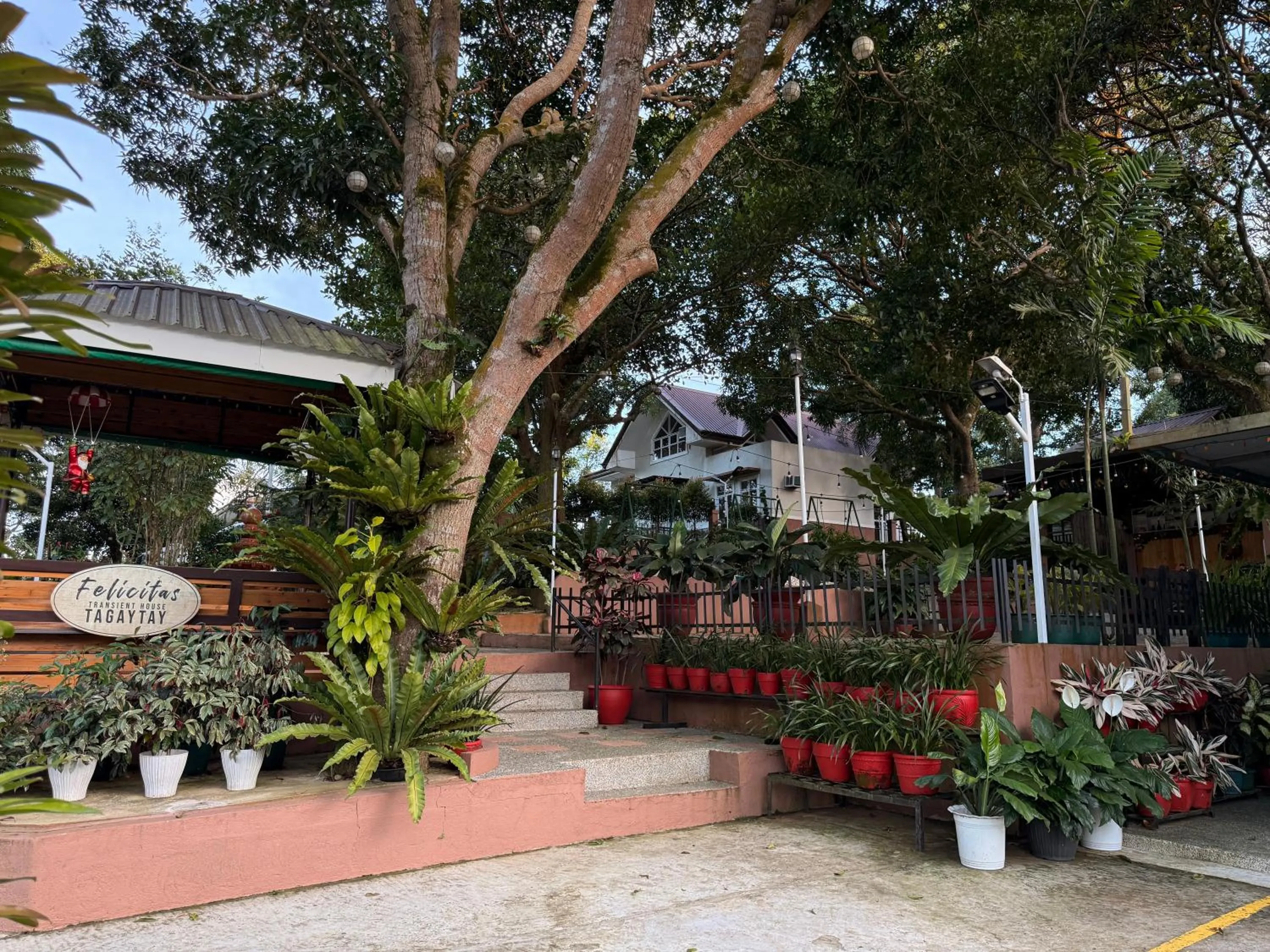 Spring in Felicitas Tagaytay