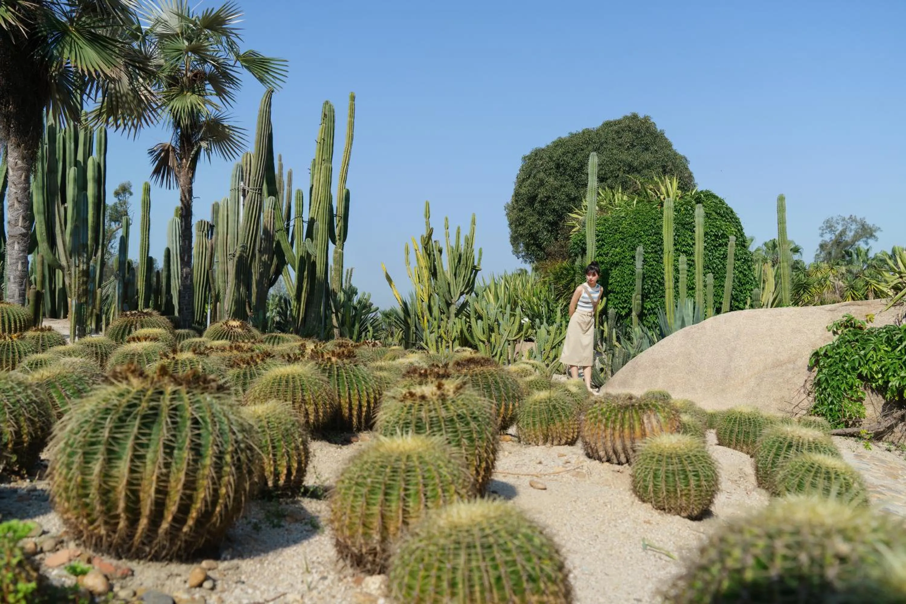Nearby landmark in W-Xiamen