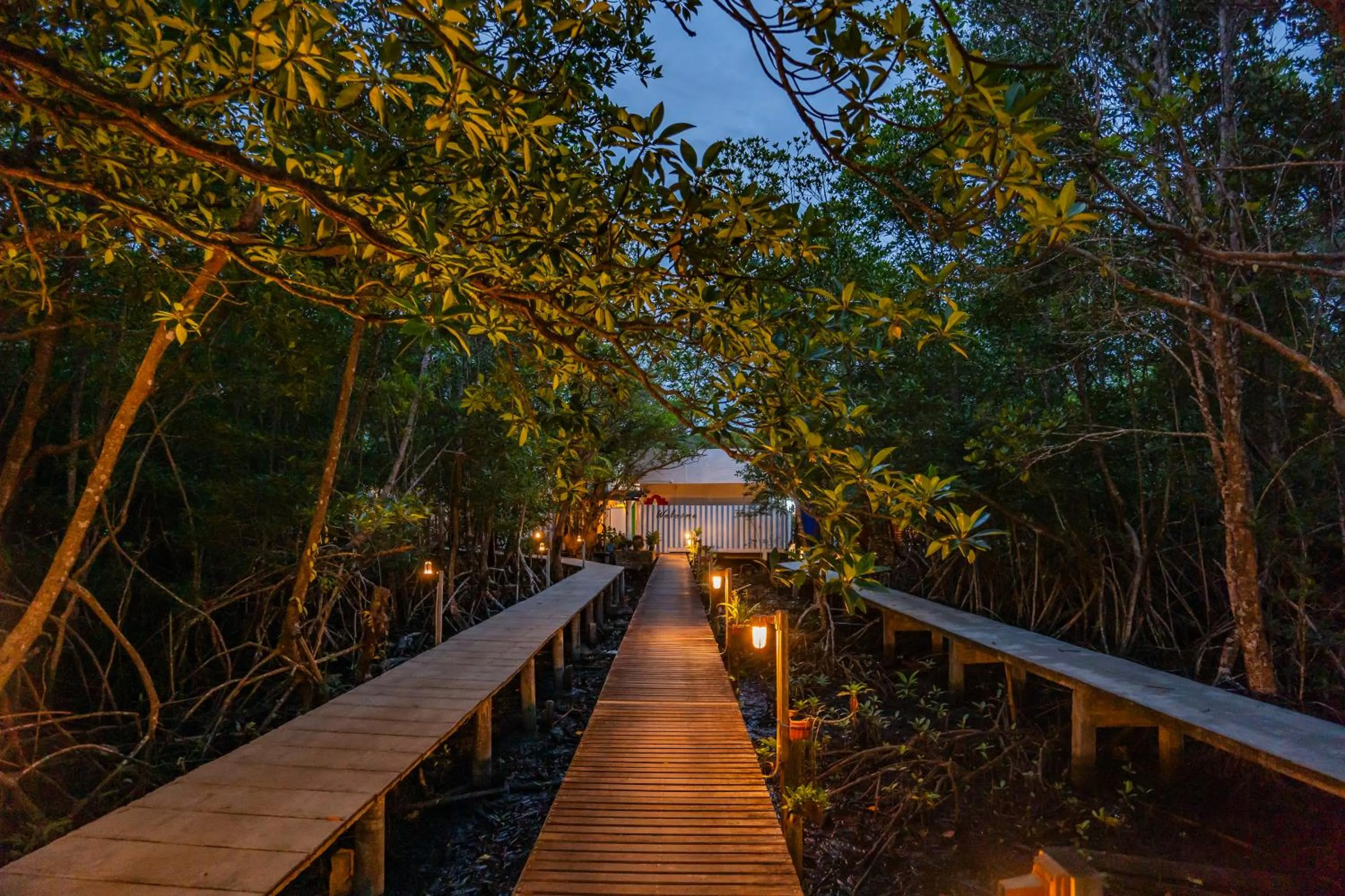 Facade/entrance in Watercolours