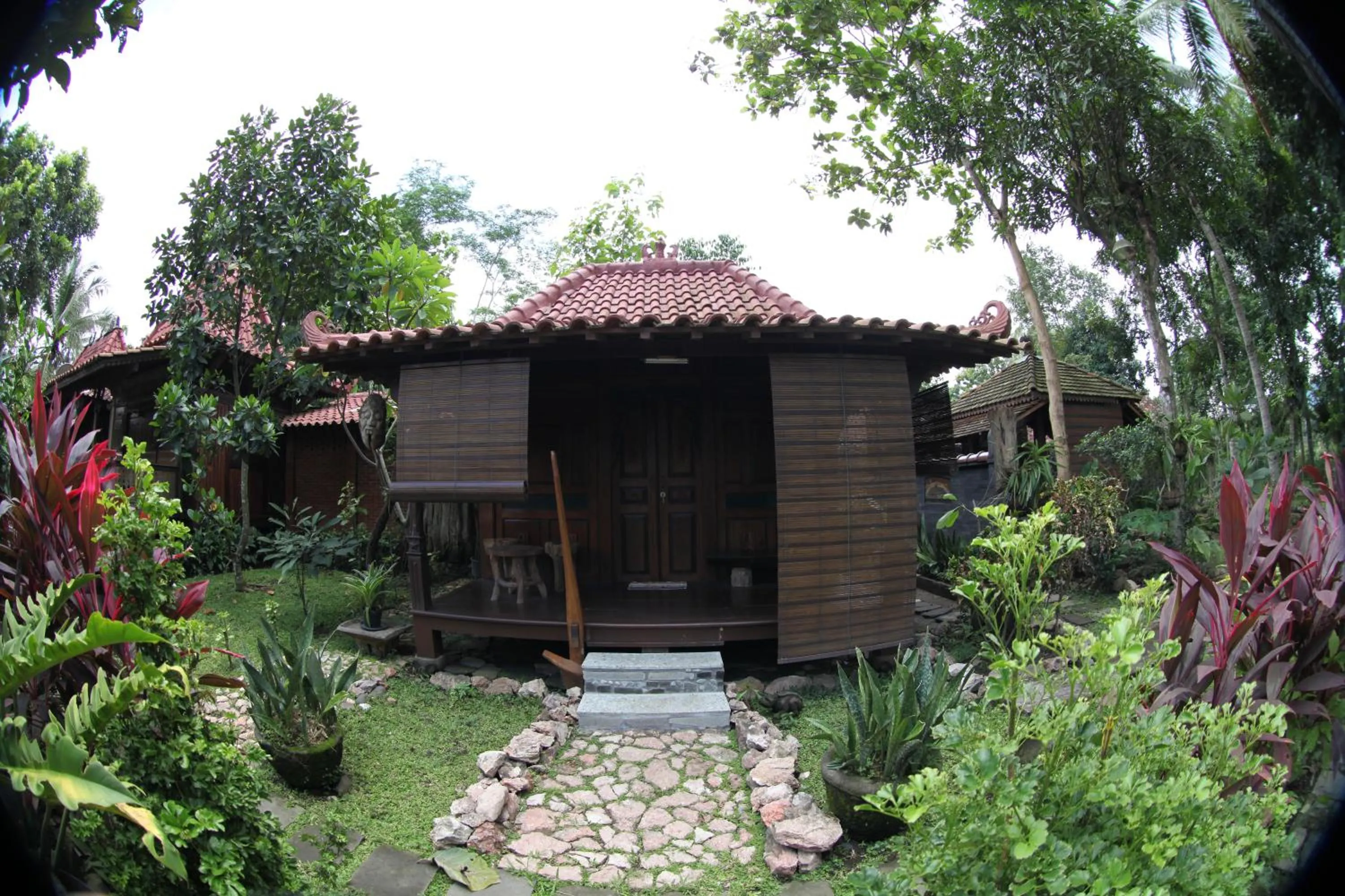 Natural landscape in Omah Garengpoeng Guest House