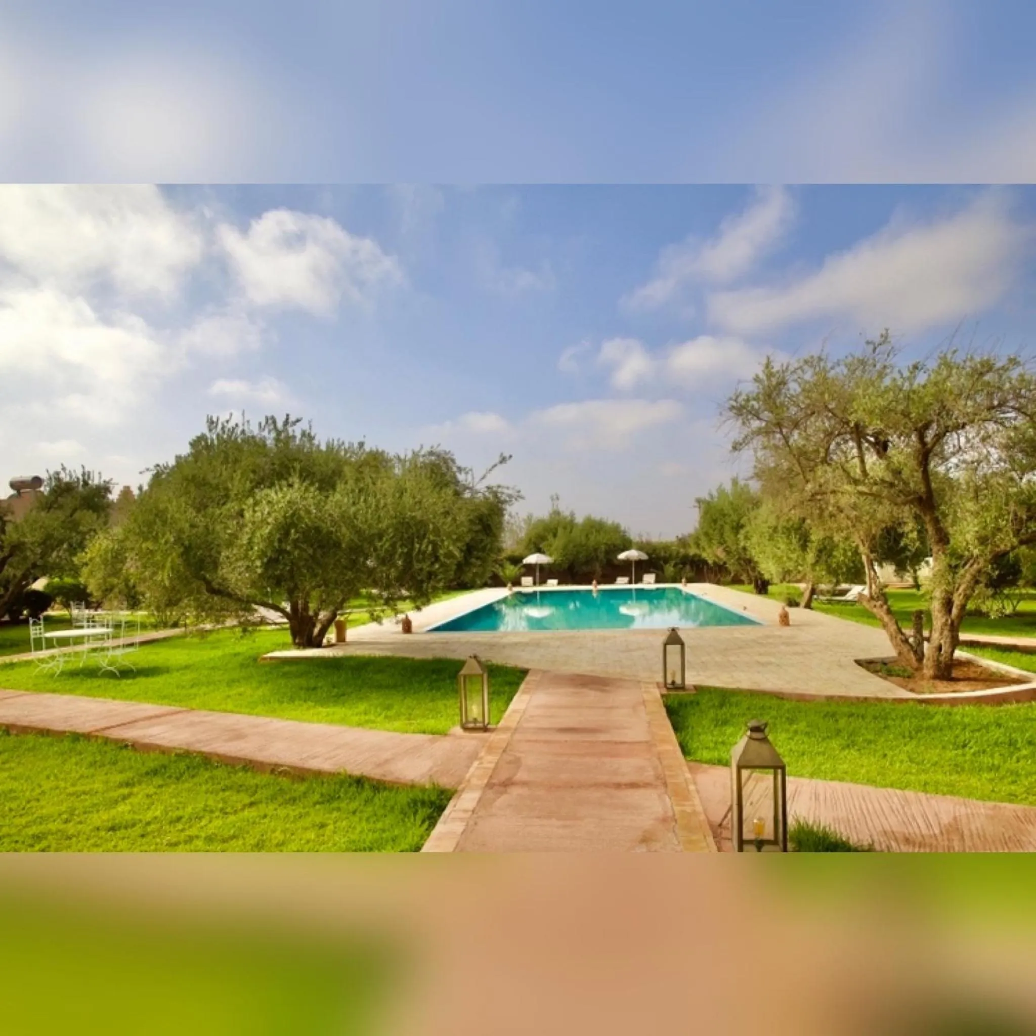Swimming pool in Upupa de l’Atlas