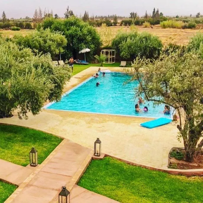Swimming pool in Upupa de l’Atlas